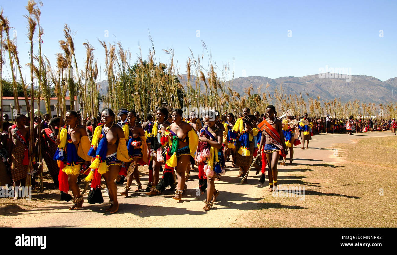 Les femmes en costumes traditionnels marchant à l'Umhlanga aka cérémonie Danse Reed - 01-09-2013 Lobamba, Swaziland Banque D'Images