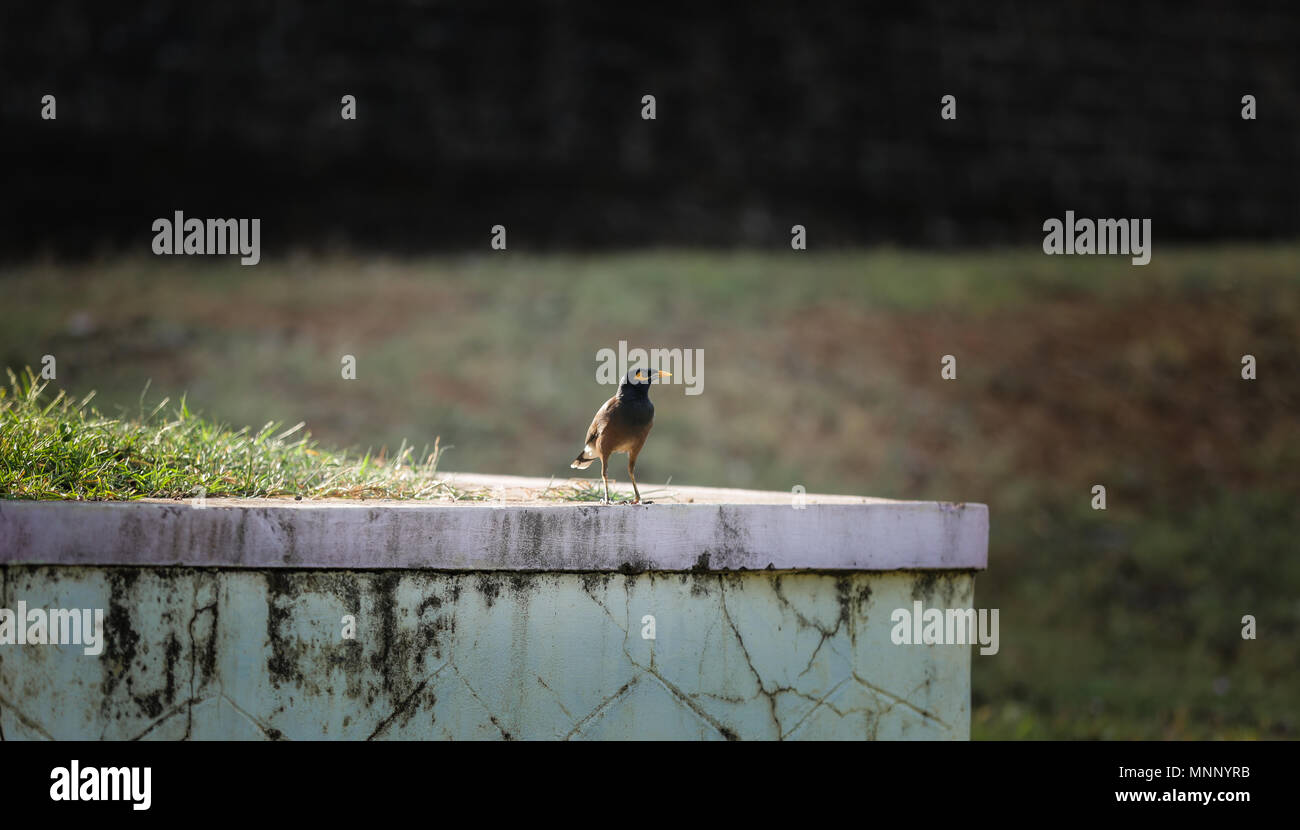 Vie de solitude Banque D'Images