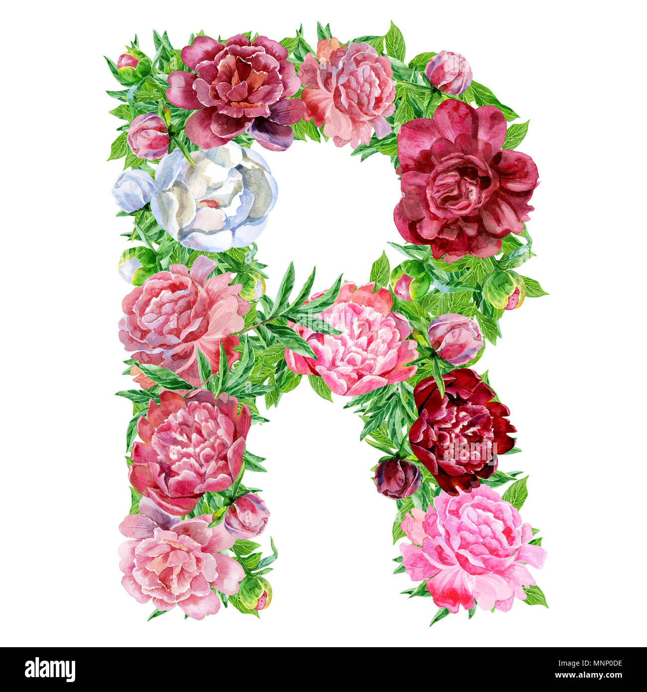 Lettre R de l'aquarelle fleurs, dessinés à la main, isolé sur un fond blanc, mariage, design de l'alphabet Banque D'Images