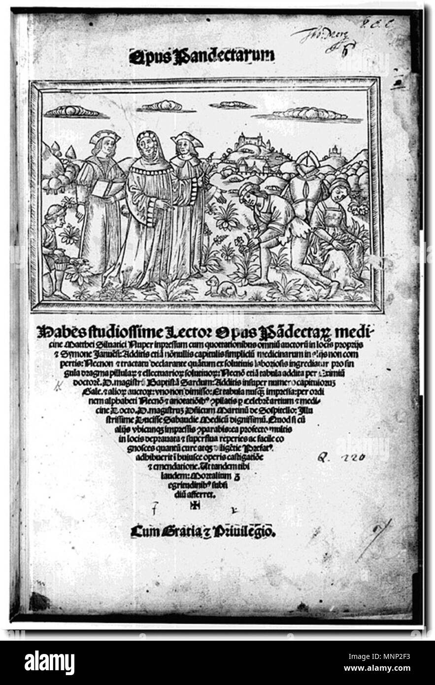 . Première page de 'Opus Pandectarum Medicinae' par Mattheus Silvaticus, il illustre que Mattheus Silvaticus enseigner à ses élèves à propos de plantes médicinales dans son jardin botanique à Salerno . 1526. 945 OpusPandectarumMedicinaeMattheusSilvaticusFront Mattheus Silvaticus1526 Banque D'Images