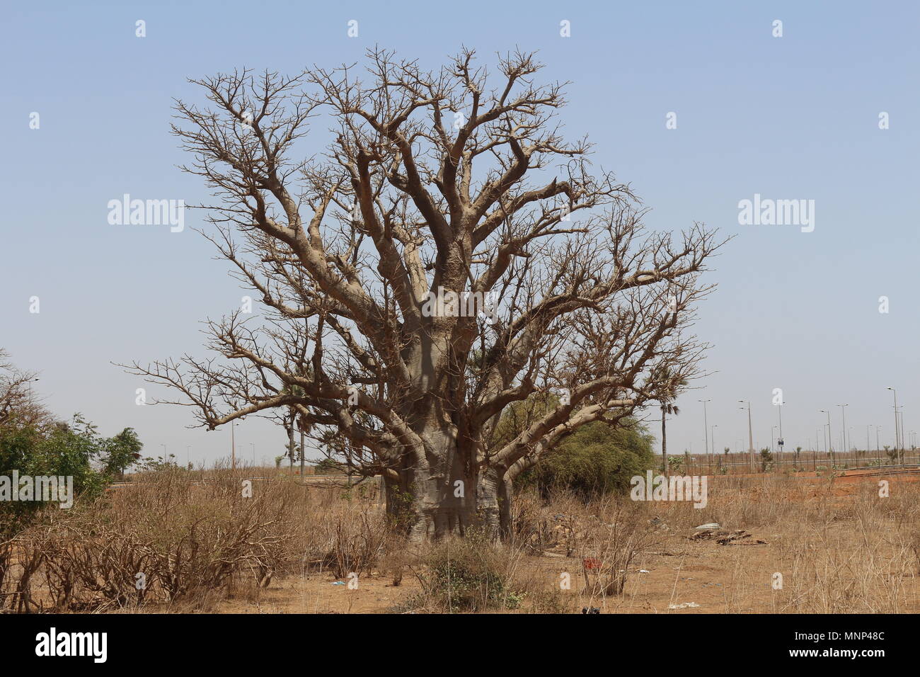 Sites touristiques de Dakar Banque D'Images