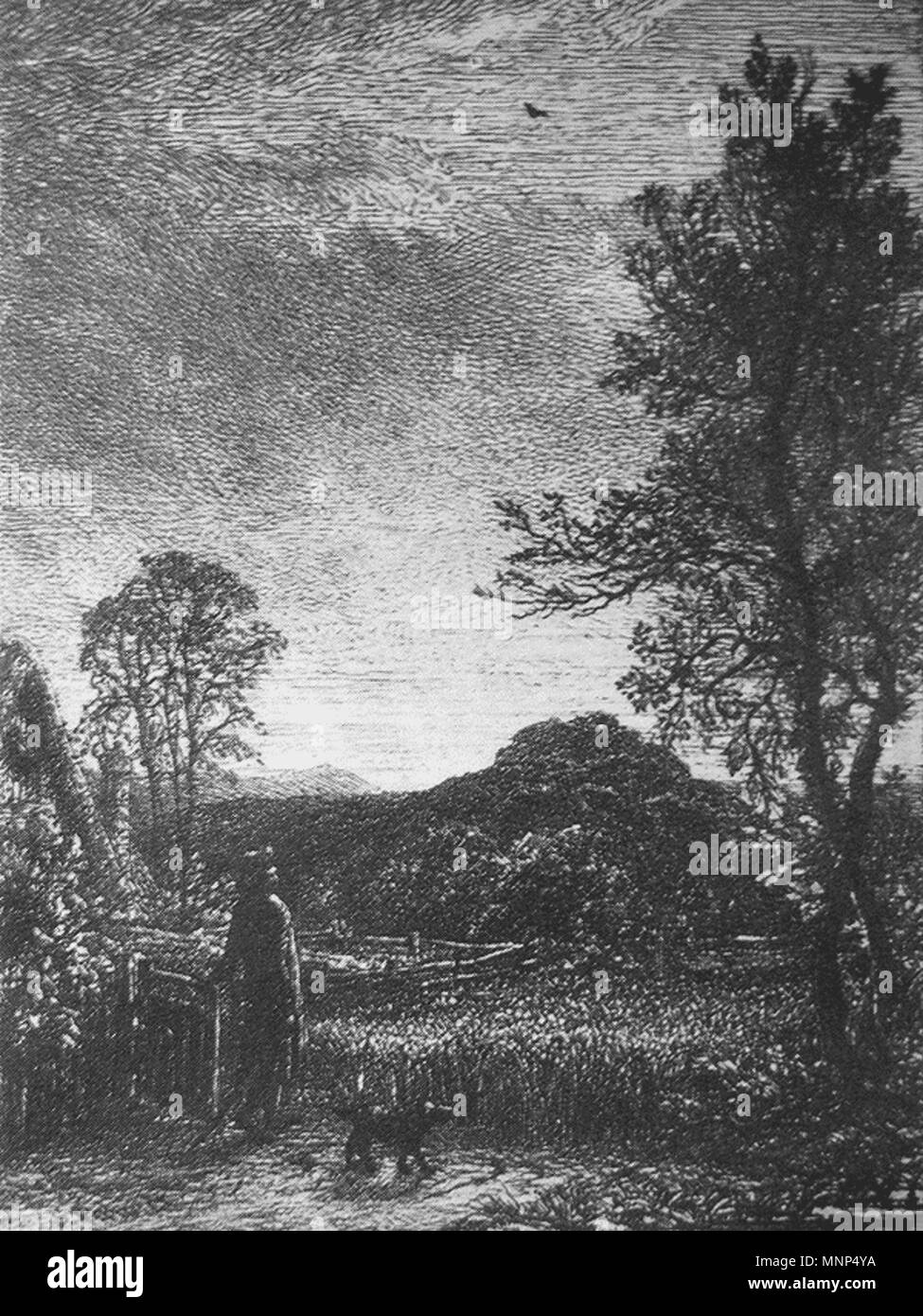 . English painter, aquafortiste, graveur et écrivain 956 Palmer-skylark Banque D'Images