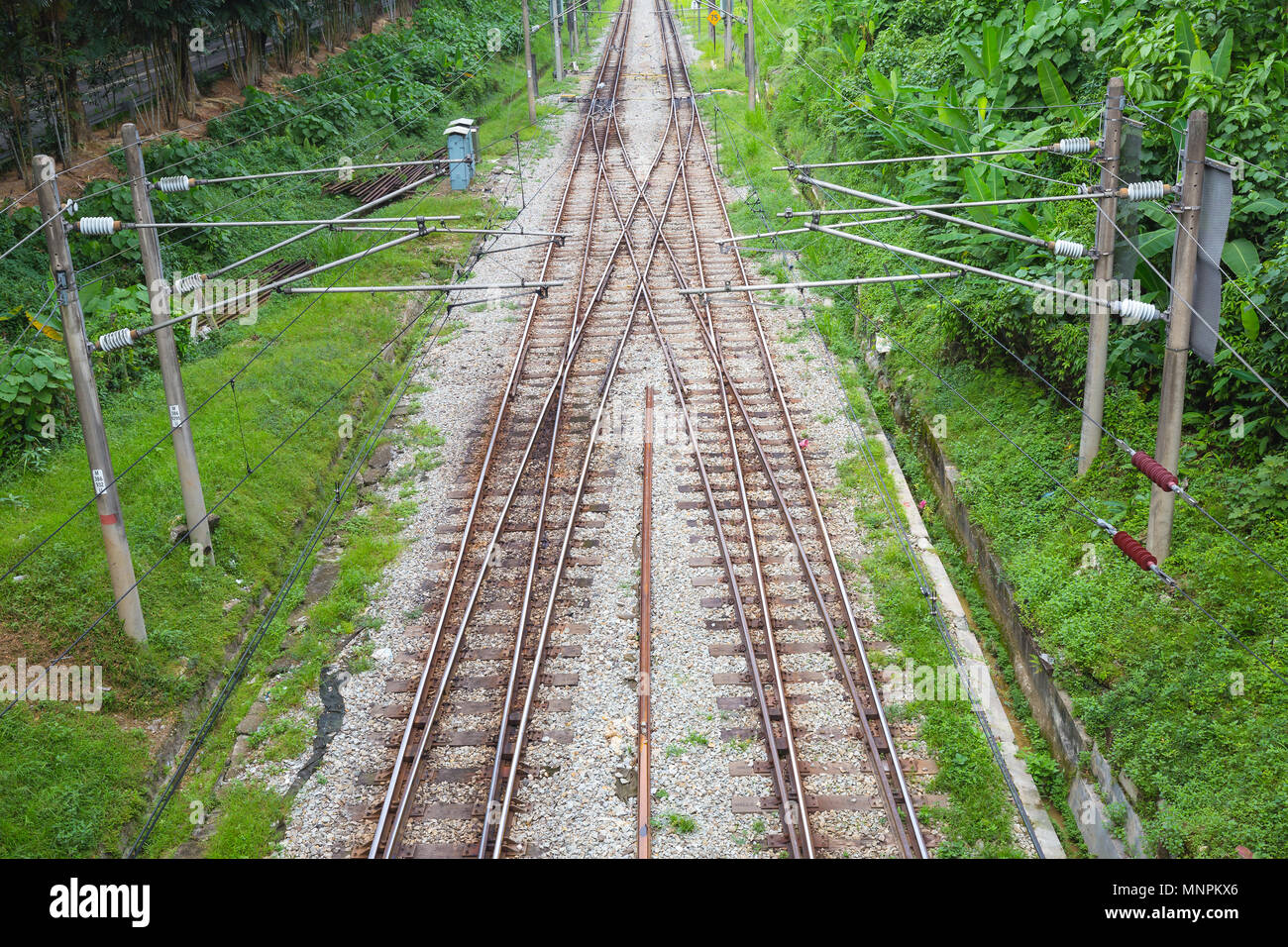 Voie de chemin de fer avec des plantes vertes le long des deux côtés de jour Banque D'Images