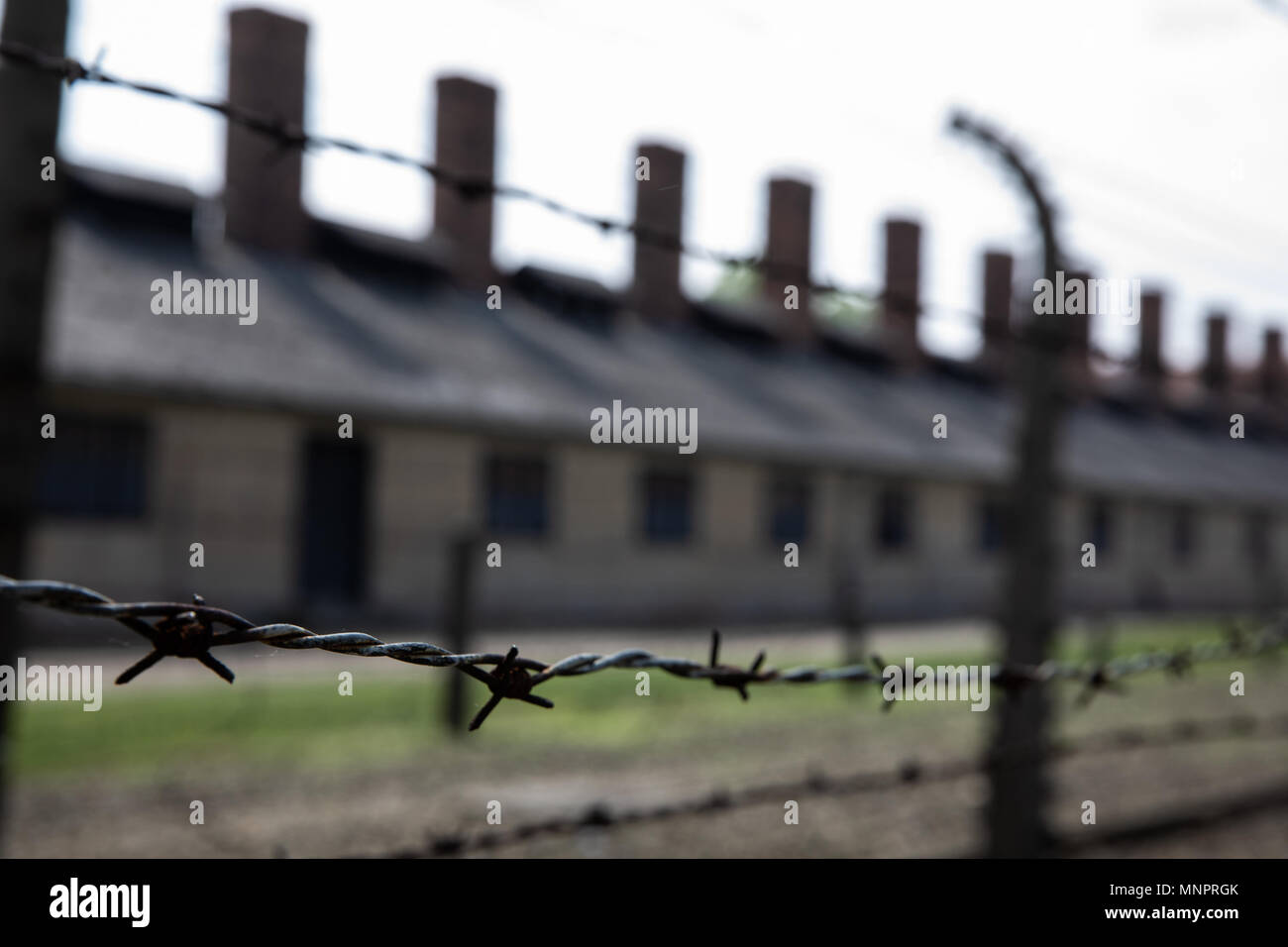 Libre de barbelés du camp de concentration Nazi à Auschwitz Banque D'Images