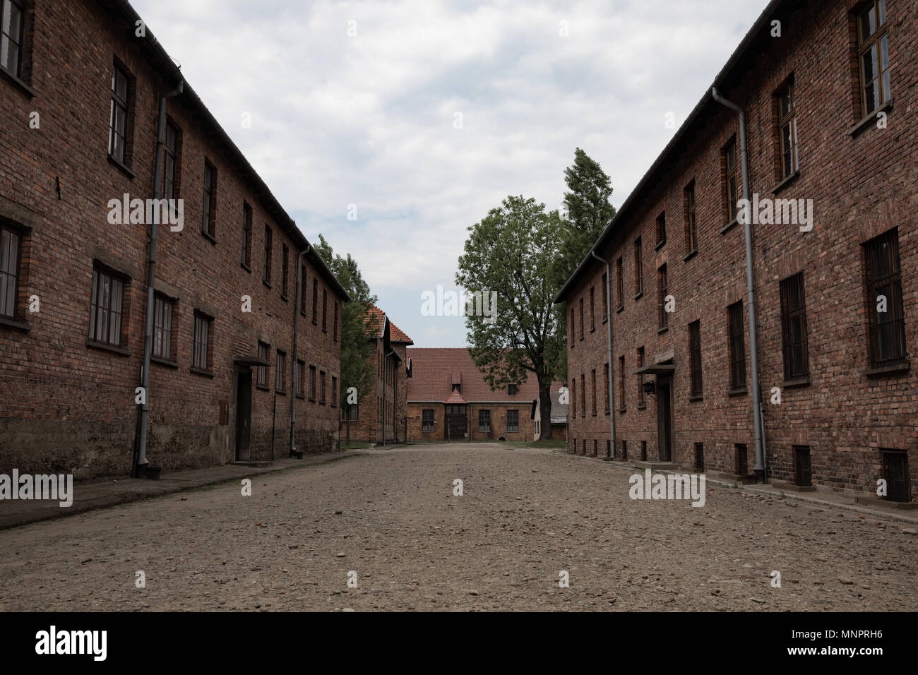 Entre casernes dans le camp de concentration Nazi Auschwitz Banque D'Images