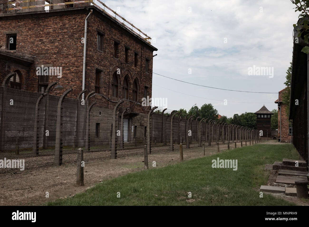 Dans les barbelés du camp de concentration nazi à l'Auschwitz Banque D'Images