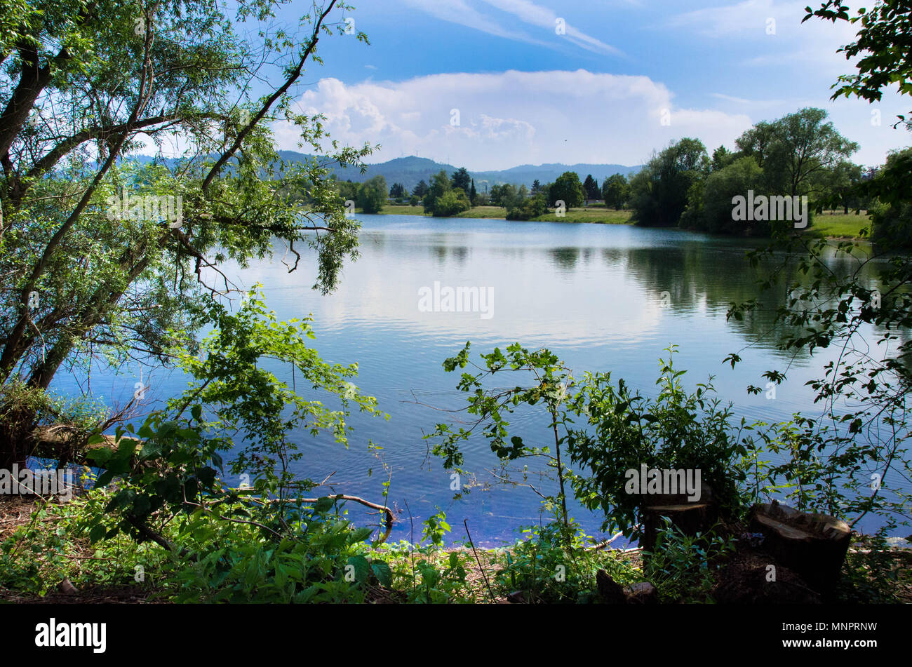 Lac Gifiz à Offenburg en Allemagne Banque D'Images