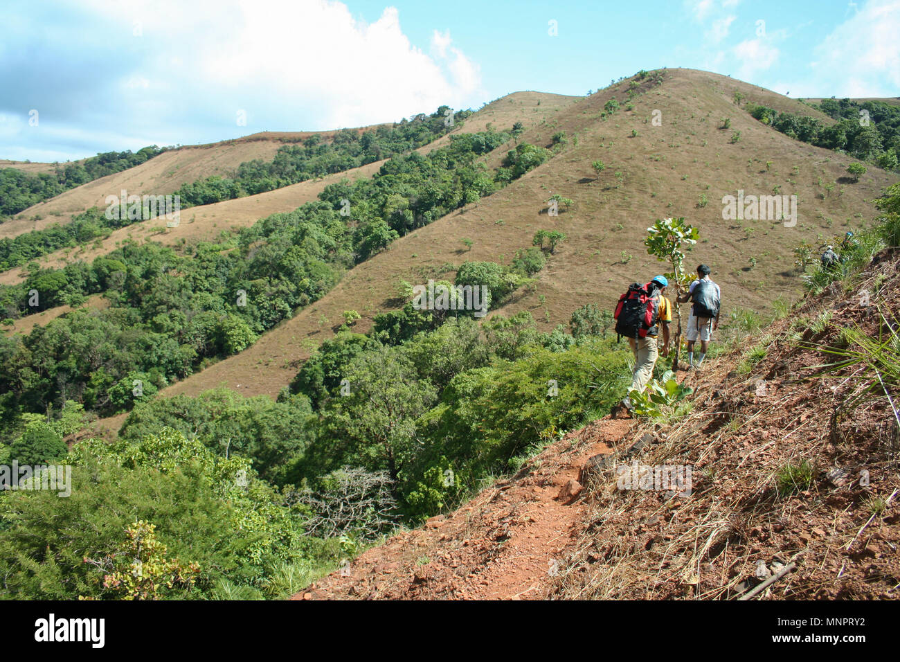 Les randonneurs l'ascension d'une colline - sur la façon d'Kodachadri (Karnataka, Inde) Banque D'Images