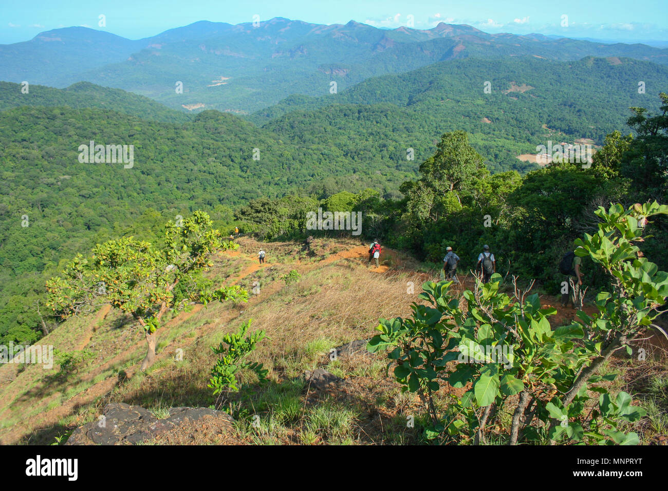 Trekkers redescendez d'Kodachadri hill (Karnataka, Inde) Banque D'Images