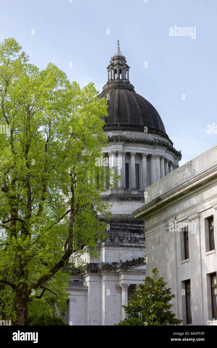 L'État de Washington, le grand bâtiment de capitol à Olympia, Washington. Banque D'Images