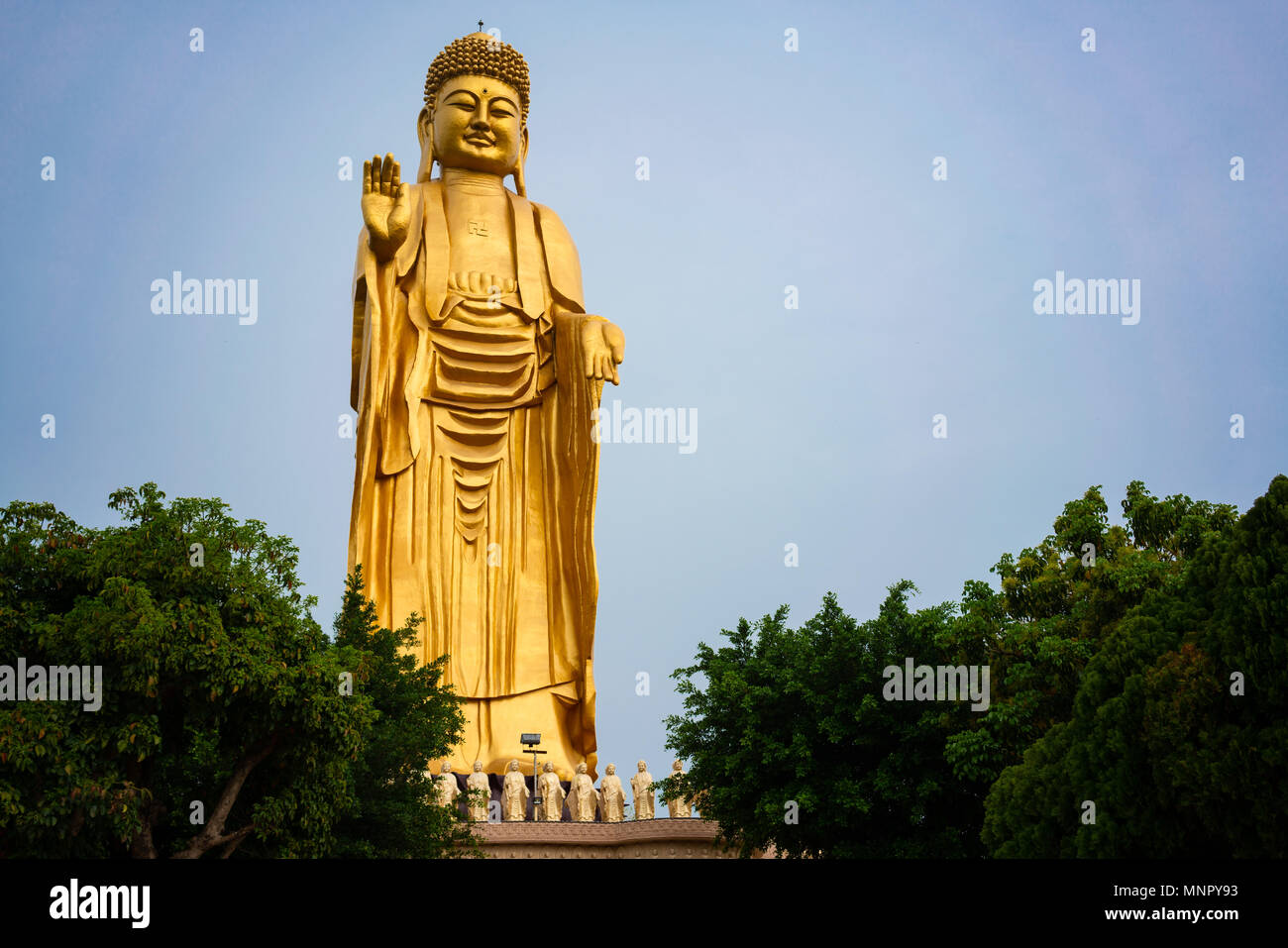 Statue du Grand Bouddha Debout doré au monastère Fo Guang Shan à Kaohsiung Taiwan Banque D'Images