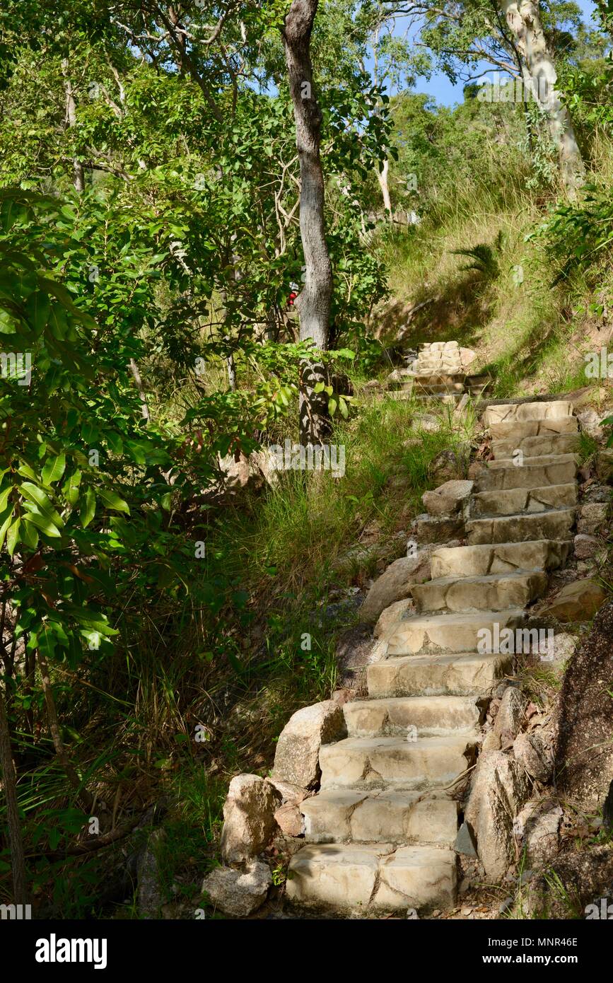 Pierre préformée comme mesures concrètes allant jusqu'à une forêt, Jourama Falls, Bruce Hwy, Yuruga QLD, Australie, Banque D'Images