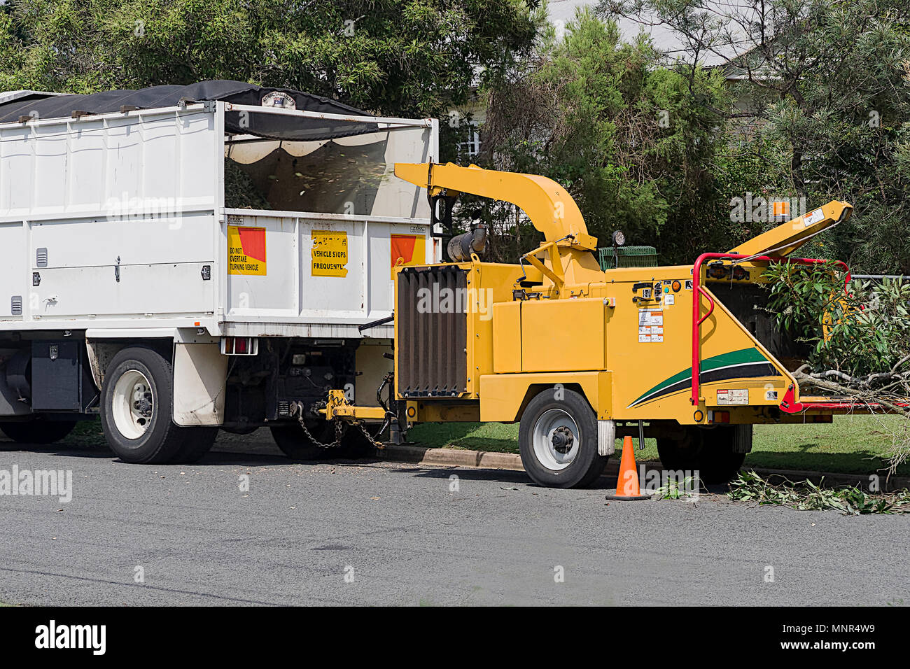 Arbre généalogique très bruyant shredder permet de paillis utile des branches d'arbre Banque D'Images