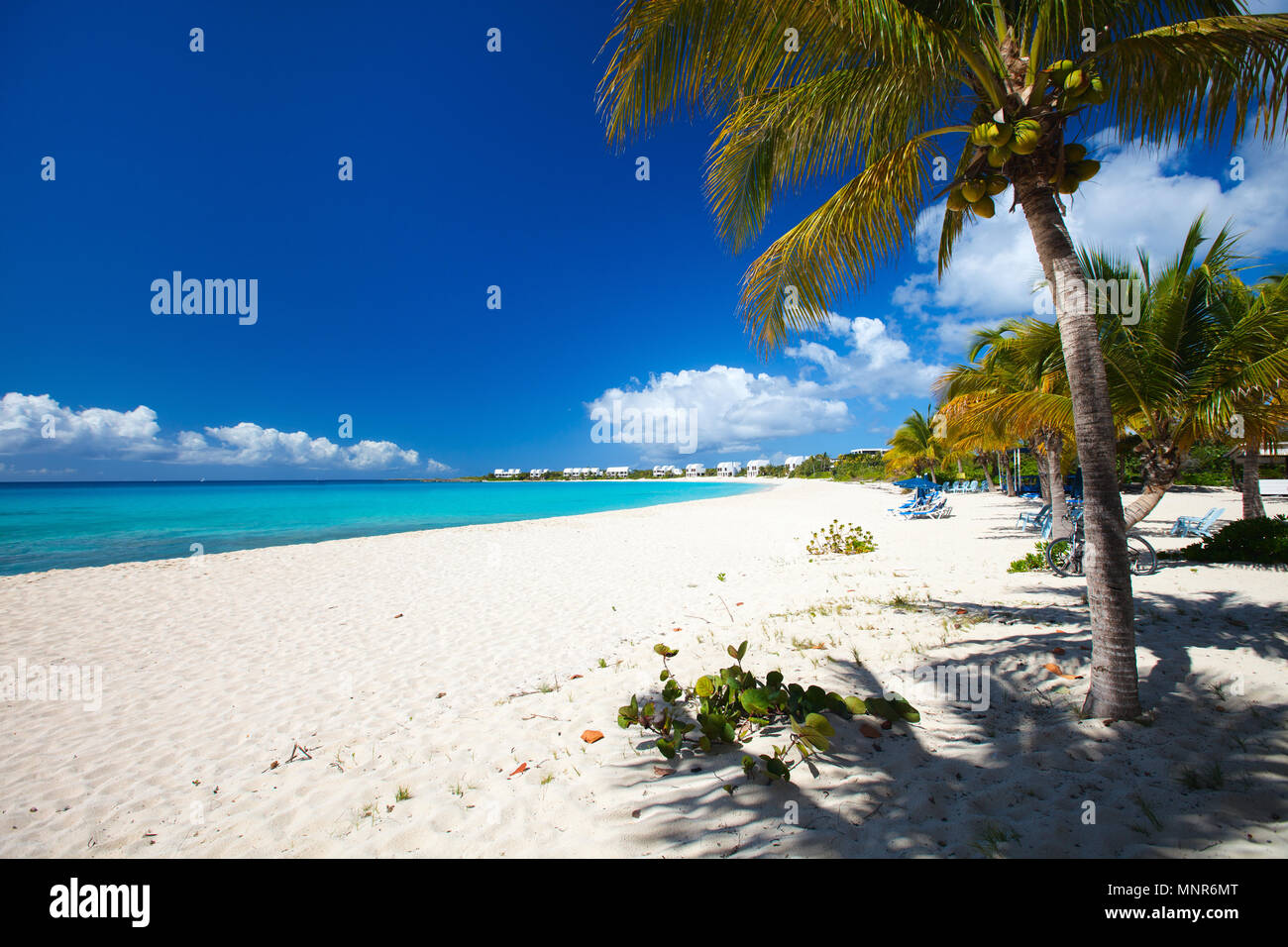 Plage des Caraïbes parfait sur l'île d'Anguilla Banque D'Images