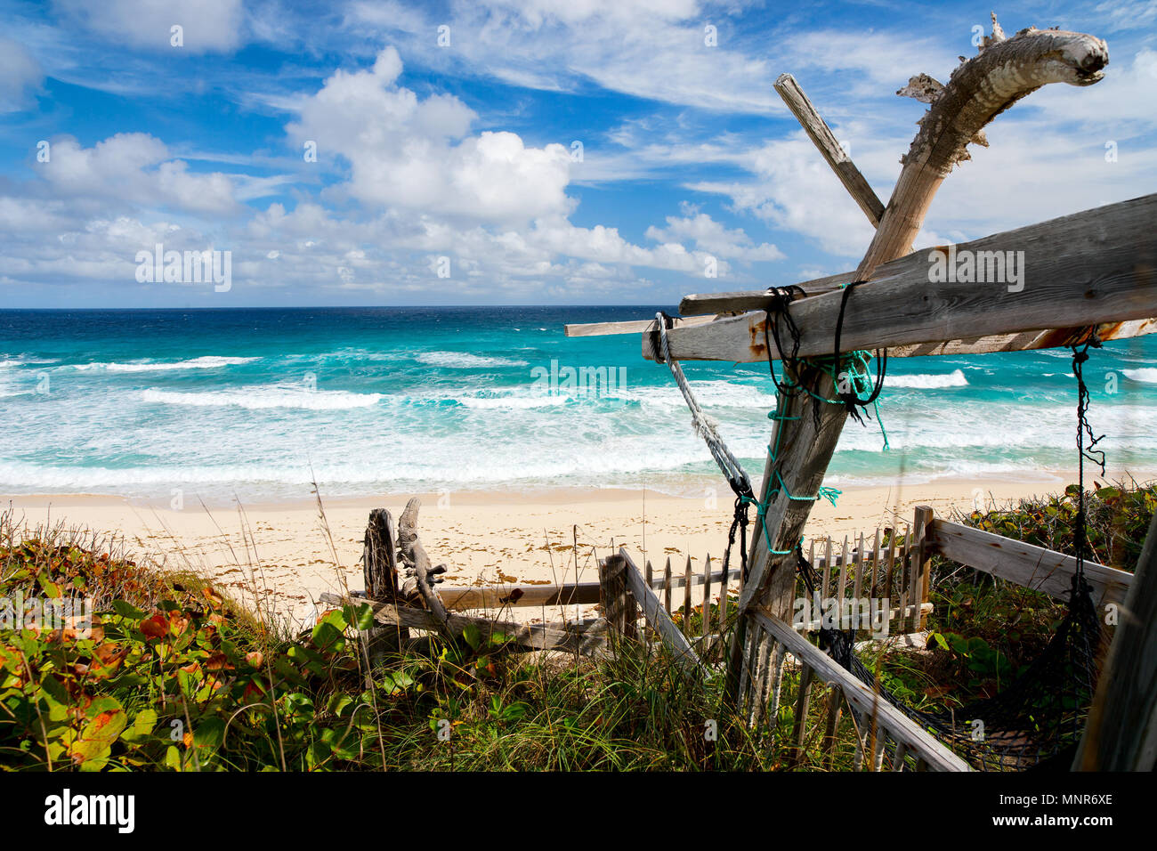 Plage tropicale et de la mer sur l'île d'Eleuthera Bahamas Banque D'Images