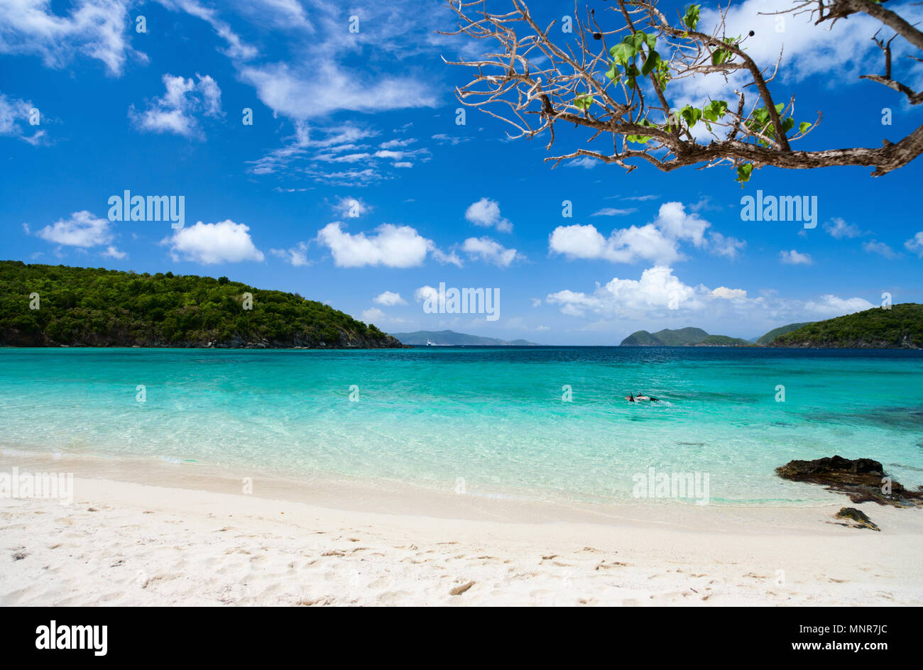 Belle plage de sable blanc tropicales, l'eau de l'océan turquoise et bleu ciel à St John, US Virgin Islands en Caraïbes Banque D'Images Belle plage de sable blanc tropicales, l'eau de l'océan turquoise et bleu ciel à St John, US Virgin Islands en Caraïbes Banque D'Images