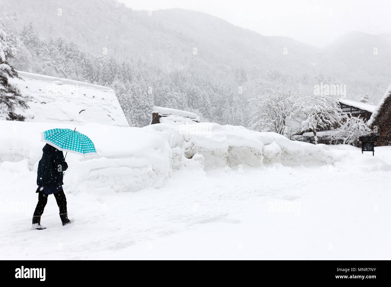 Vue arrière d'un touriste à l'historique village japonais Shirakawa-go à l'hiver, l'un des sites du patrimoine mondial de l'UNESCO Banque D'Images
