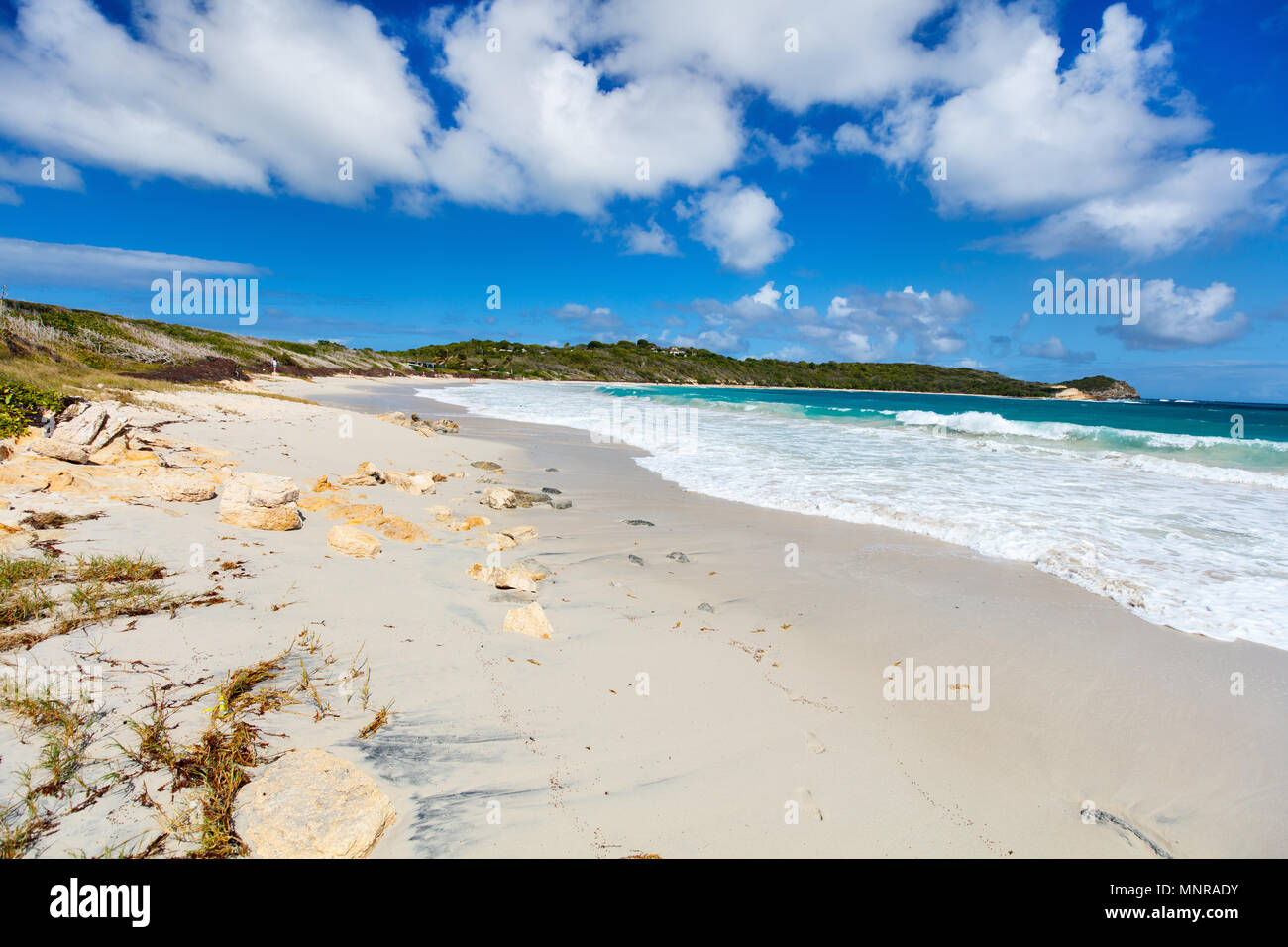 Belle plage tropicale de Half Moon Bay Antigua dans l'île de sable blanc des Caraïbes, de l'eau de l'océan turquoise et ciel bleu Banque D'Images
