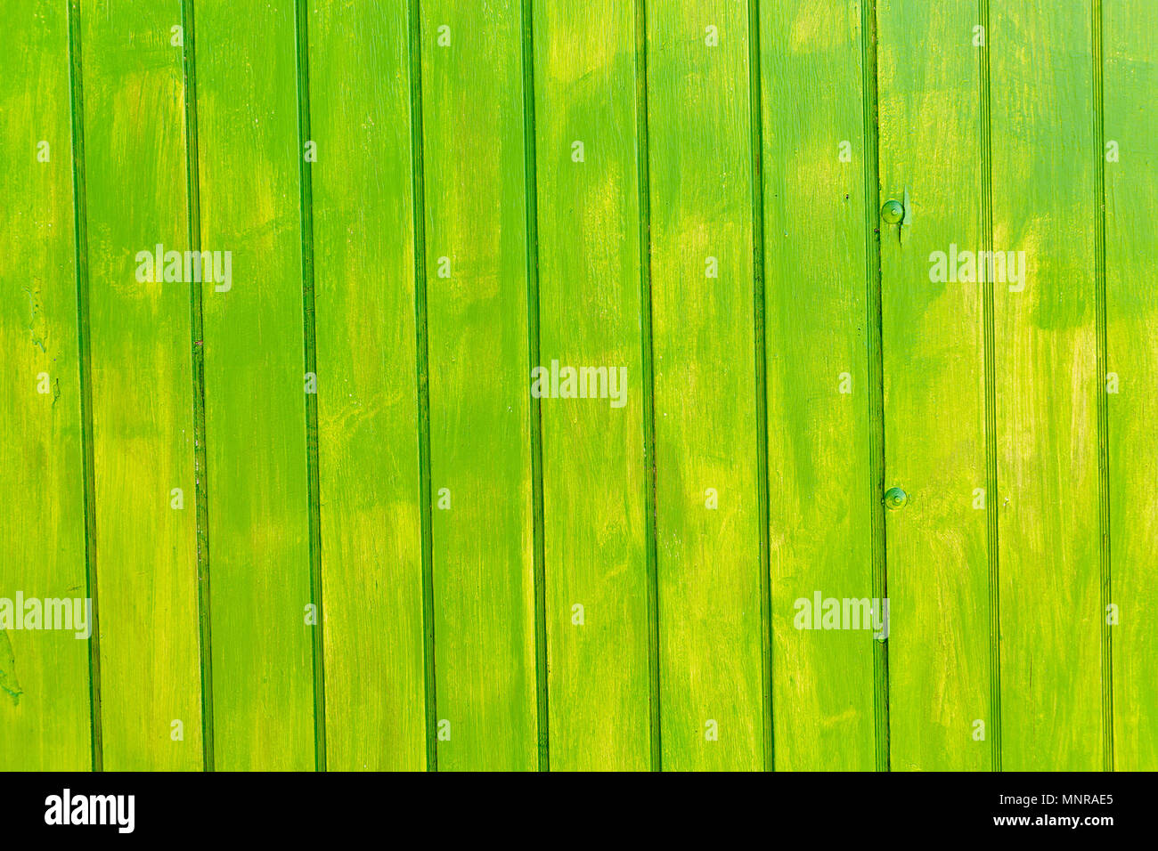 De texture background en bois peint de couleur vert vif Banque D'Images