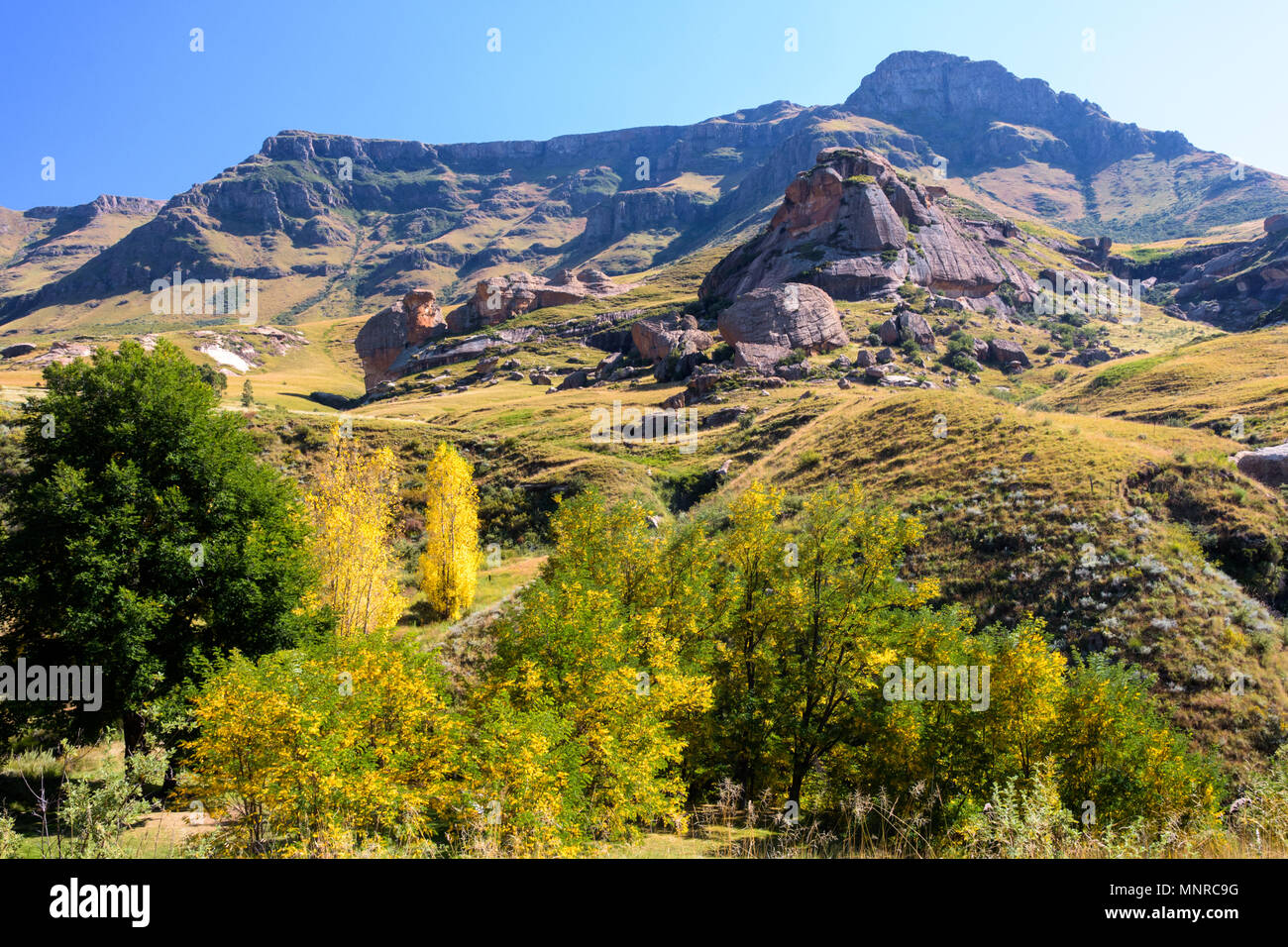Vue panoramique sur la montagne avec les arbres d'automne Banque D'Images