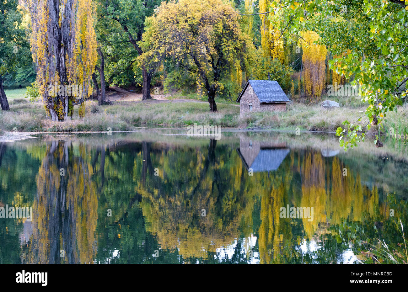 L'automne arbres se reflétant dans l'étang Banque D'Images