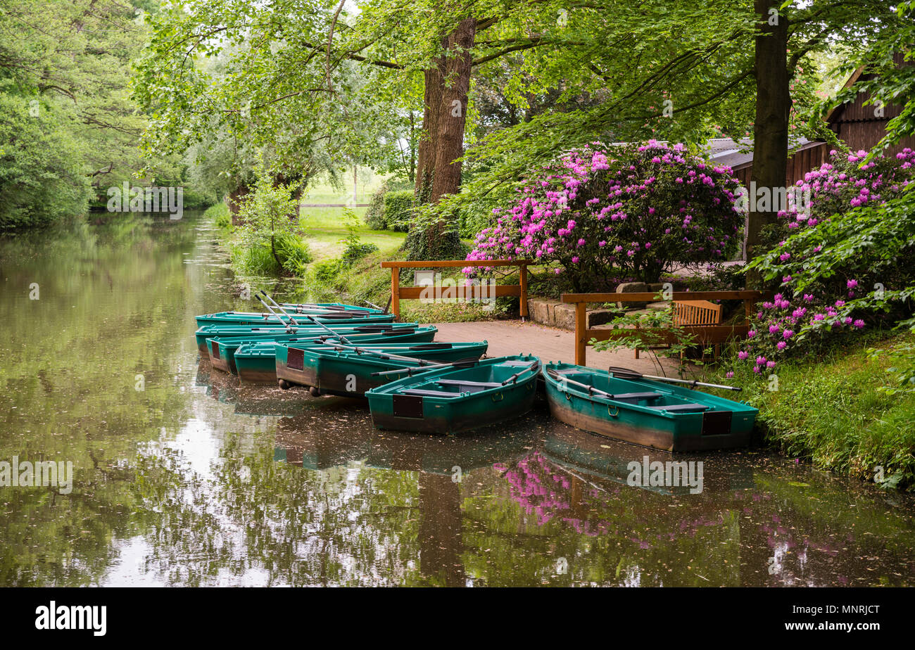 Green barques à louer à petite rivière dans la belle nature avec la floraison du rhododendron et vert forêt à Alstatte, Allemagne Banque D'Images