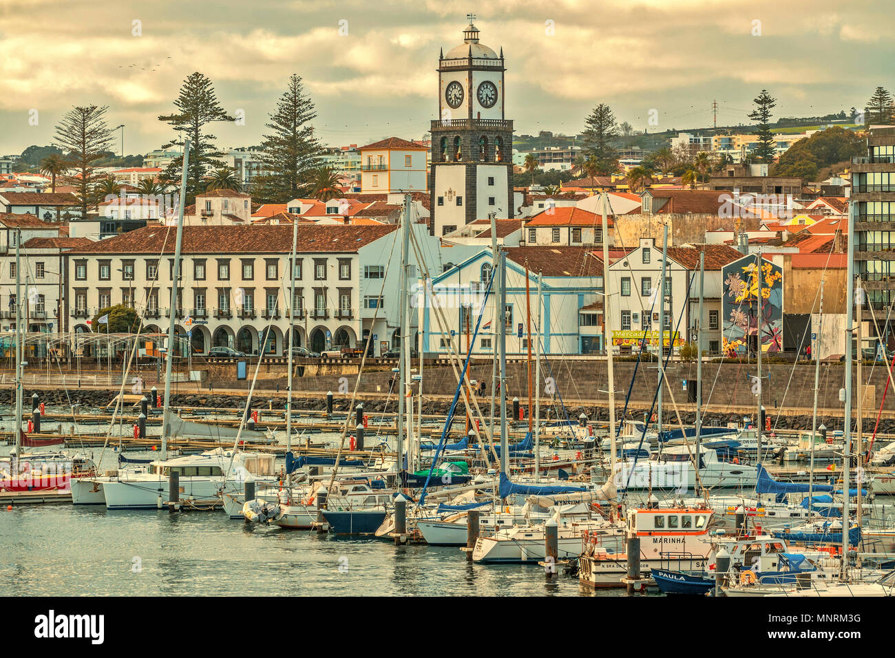 Port de Ponta Delgada, île de Sao Miguel, Açores, Portugal Banque D'Images
