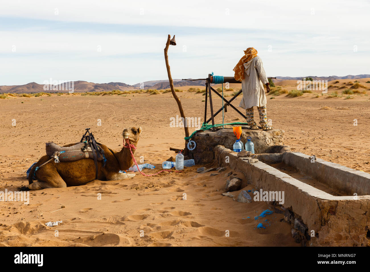 Le berbère et camel près du puits, Maroc Banque D'Images