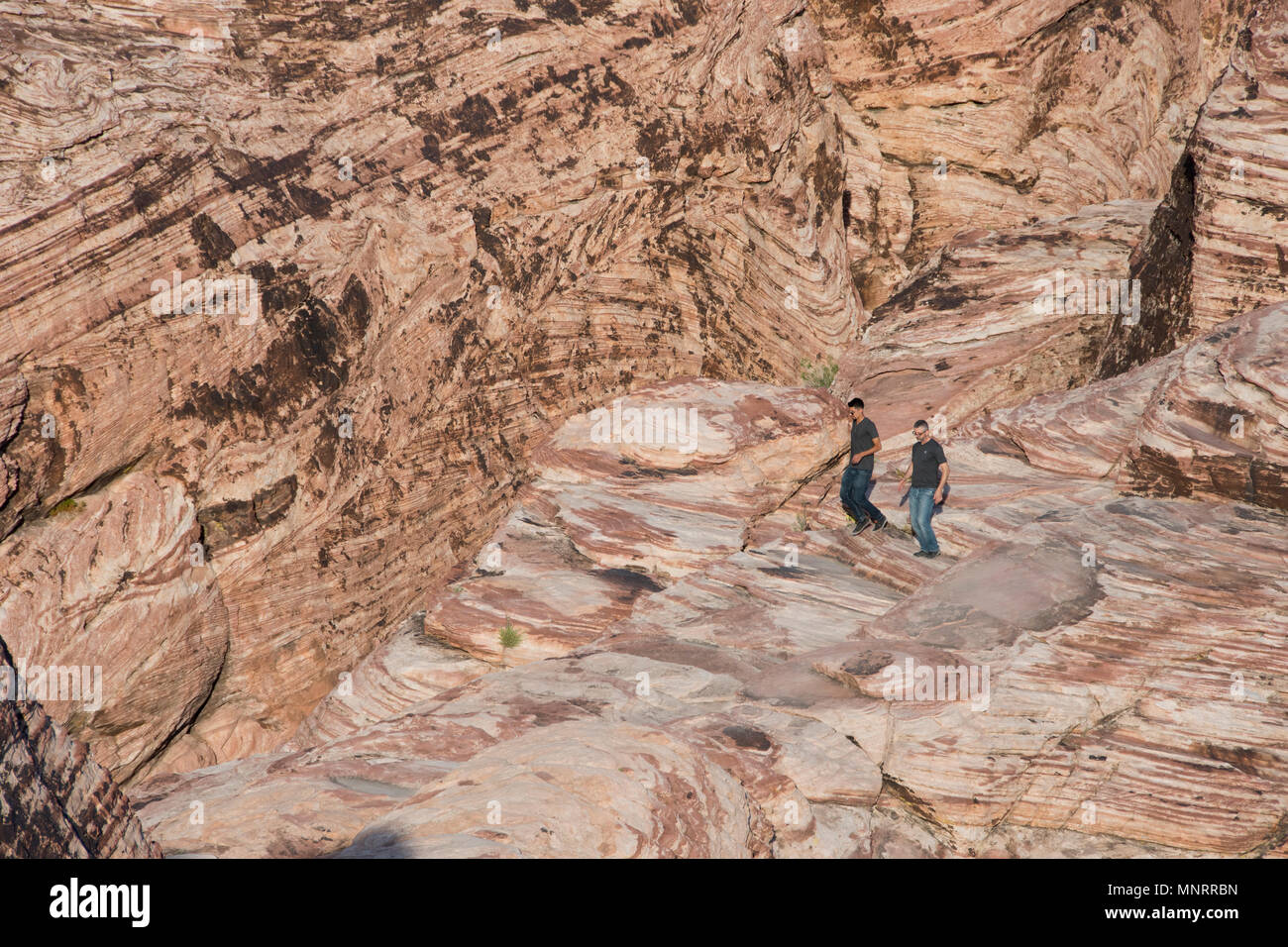 Randonneurs sur le grès, le Red Rock Canyon National Conservation Area, Las Vegas, Nevada Banque D'Images