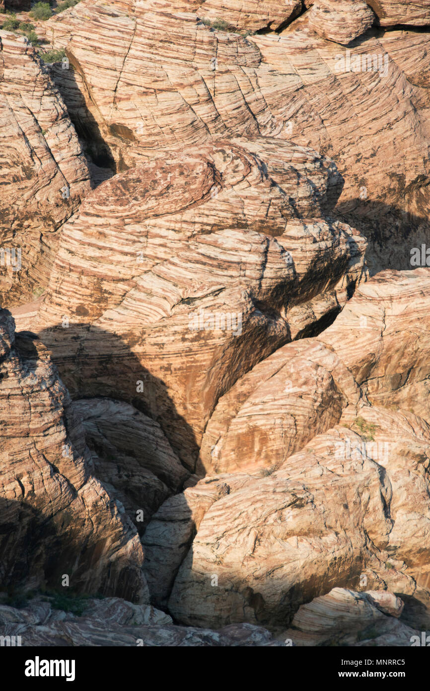 Lits de grès, Red Rock Canyon National Conservation Area, Las Vegas, Nevada Banque D'Images