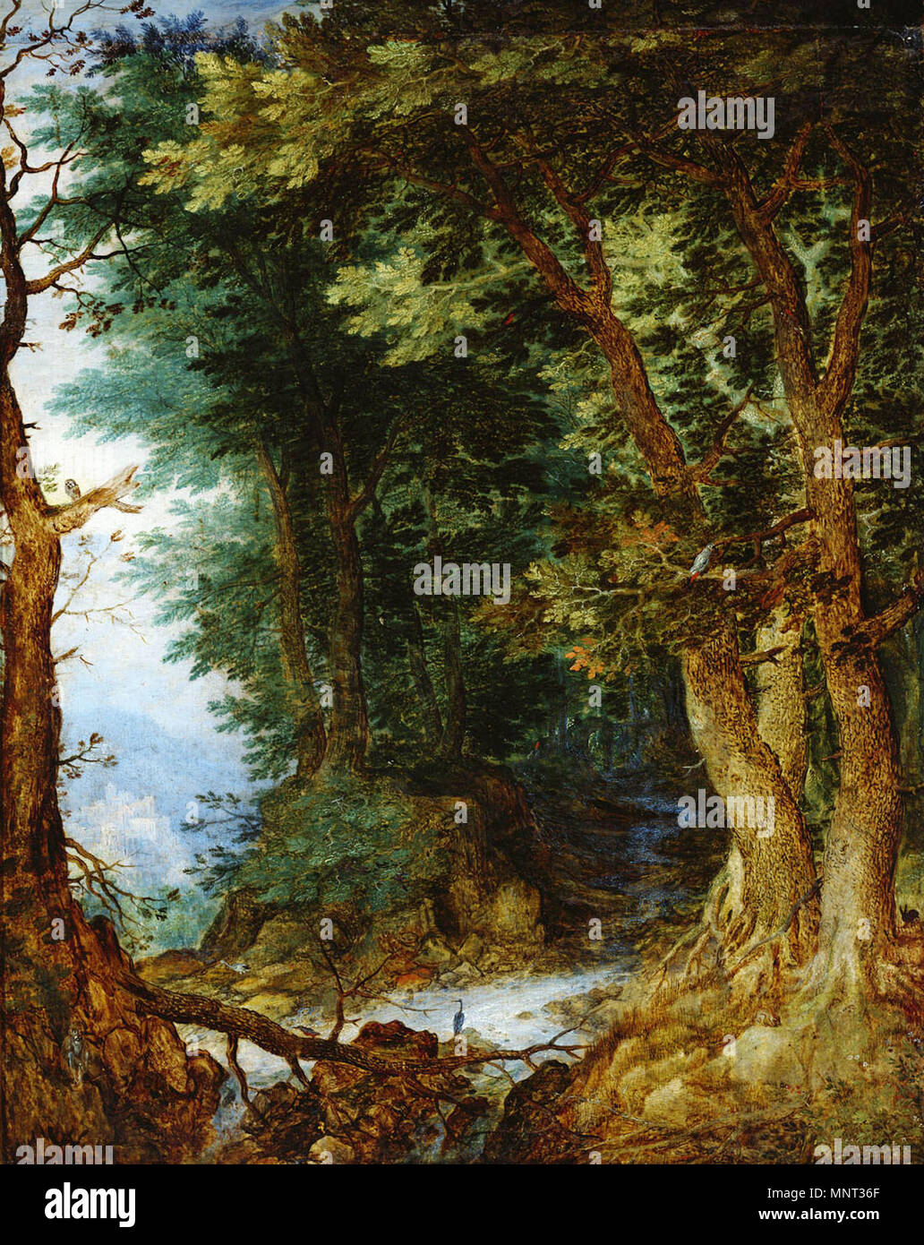 Paysage de forêt : English Deutsch : Waldlandschaft vers 1605/1610. 695 Jan Brueghel (I) - paysage de forêt Banque D'Images