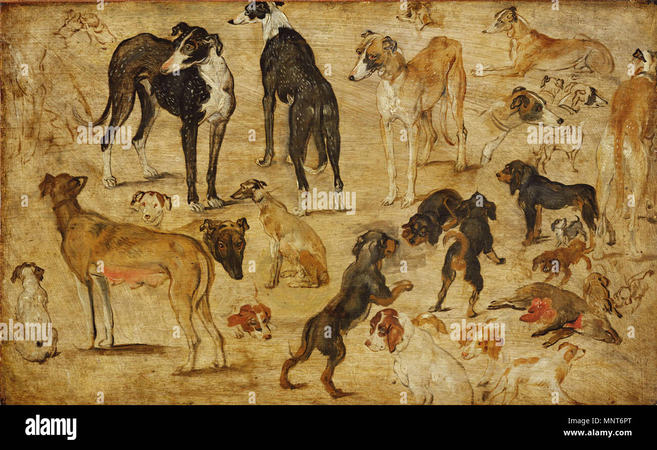 Deutsch : Tierstudie Hunde (anglais) : Les études de chiens vers 1616. 695 Jan Brueghel (I) - Études d'animaux (chiens) Banque D'Images