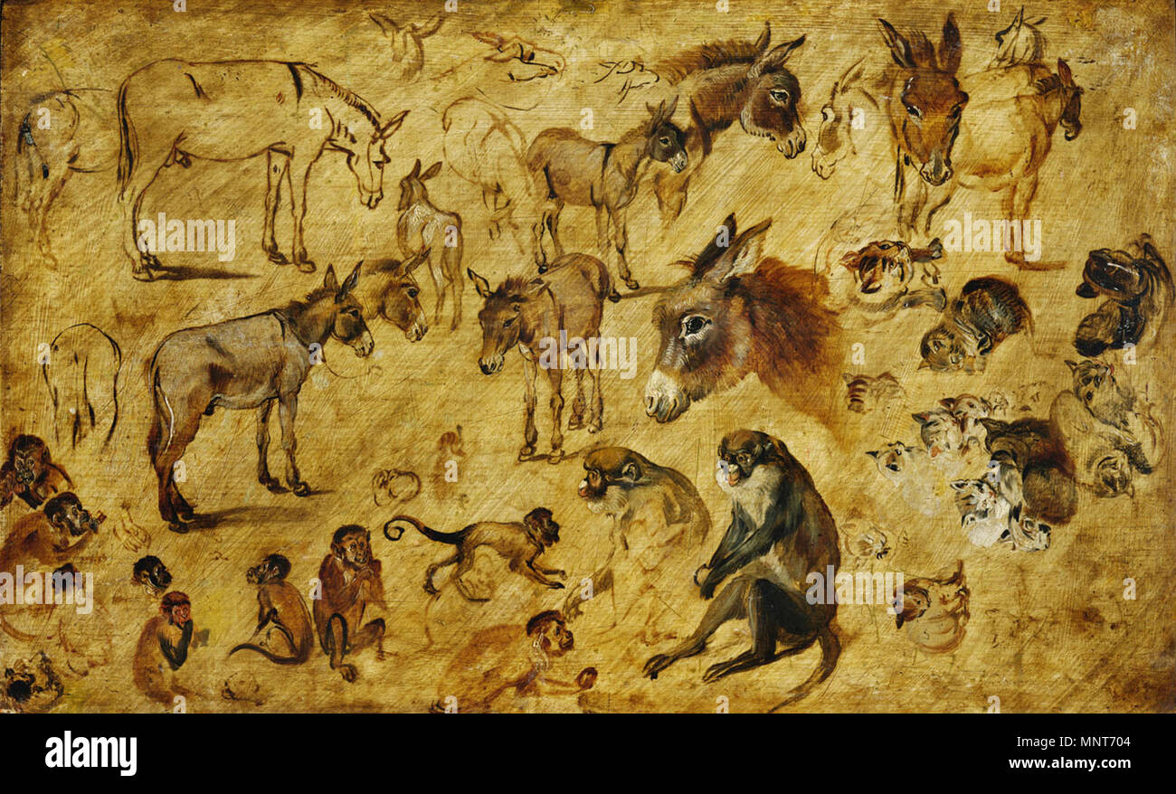 English : Études d'animaux (ânes, les chats et les singes) Deutsch : Tierstudie (Esel, Katzen, Affen) vers 1616. 695 Jan Brueghel (I) - Études d'animaux (ânes, les chats et les singes Banque D'Images