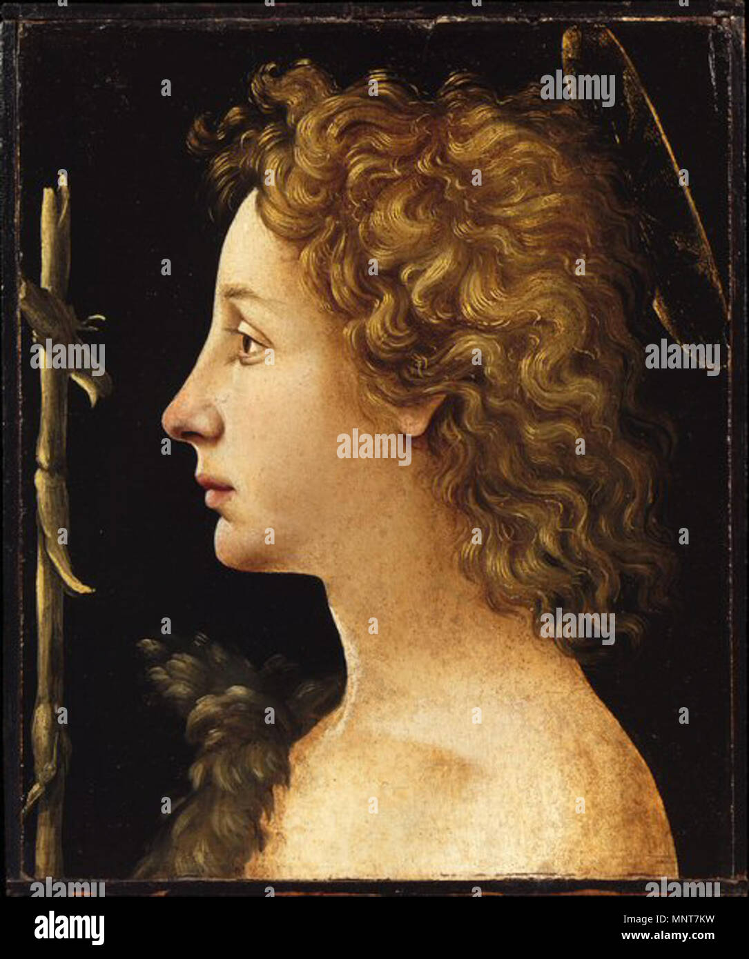 Anglais : Le jeune Saint Jean Baptiste Français : Saint Jean Baptiste enfant circa 1480. 986 Piero di Cosimo - St Jean Baptiste Banque D'Images Anglais : Le jeune Saint Jean Baptiste Français : Saint Jean Baptiste enfant circa 1480. 986 Piero di Cosimo - St Jean Baptiste Banque D'Images