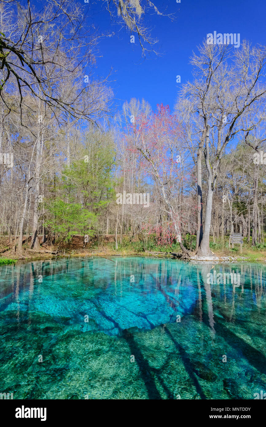Devil's Eye, Ginnie Springs, Springs, Florida, USA Banque D'Images