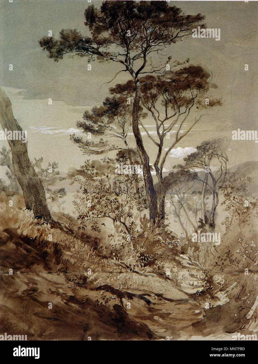 . Pins en pierre à Sestri. Crayon, encre brune, sépia et carrosserie sur deux feuilles jointes, 44,5 x 33,5 cm . 1845. John Ruskin (1819-1900) Noms alternatifs Ruskin Description auteur britannique, poète, artiste et critique d'art Date de naissance/Décès 8 Février 1819 20 janvier 1900 Lieu de naissance/décès London English : Brantwood, Lake District lieu de travail de l'Angleterre, Venise, la Suisse, la France contrôle d'autorité : Q179126 : VIAF 73859585 ISNI : 0000 0001 2139 3446 ULAN : 500006262 RCAC : n79006950 36583544 1145 NLA : WorldCat Pierre Pines at Sestri Banque D'Images