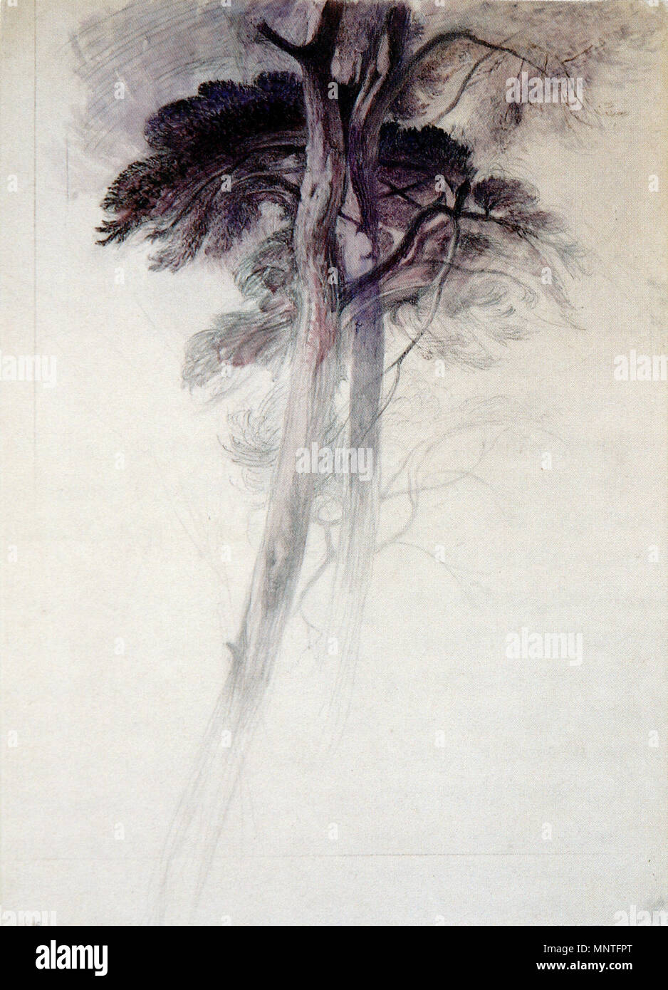 . Étude d'Arbres (de Turner's Crossing le Brook). circa 1857. John Ruskin (1819-1900) Noms alternatifs Ruskin Description auteur britannique, poète, artiste et critique d'art Date de naissance/Décès 8 Février 1819 20 janvier 1900 Lieu de naissance/décès London English : Brantwood, Lake District lieu de travail de l'Angleterre, Venise, la Suisse, la France contrôle d'autorité : Q179126 : VIAF 73859585 ISNI : 0000 0001 2139 3446 ULAN : 500006262 RCAC : n79006950 36583544 1148 NLA : étude d'arbres WorldCat de Turner Valley Lodge Banque D'Images