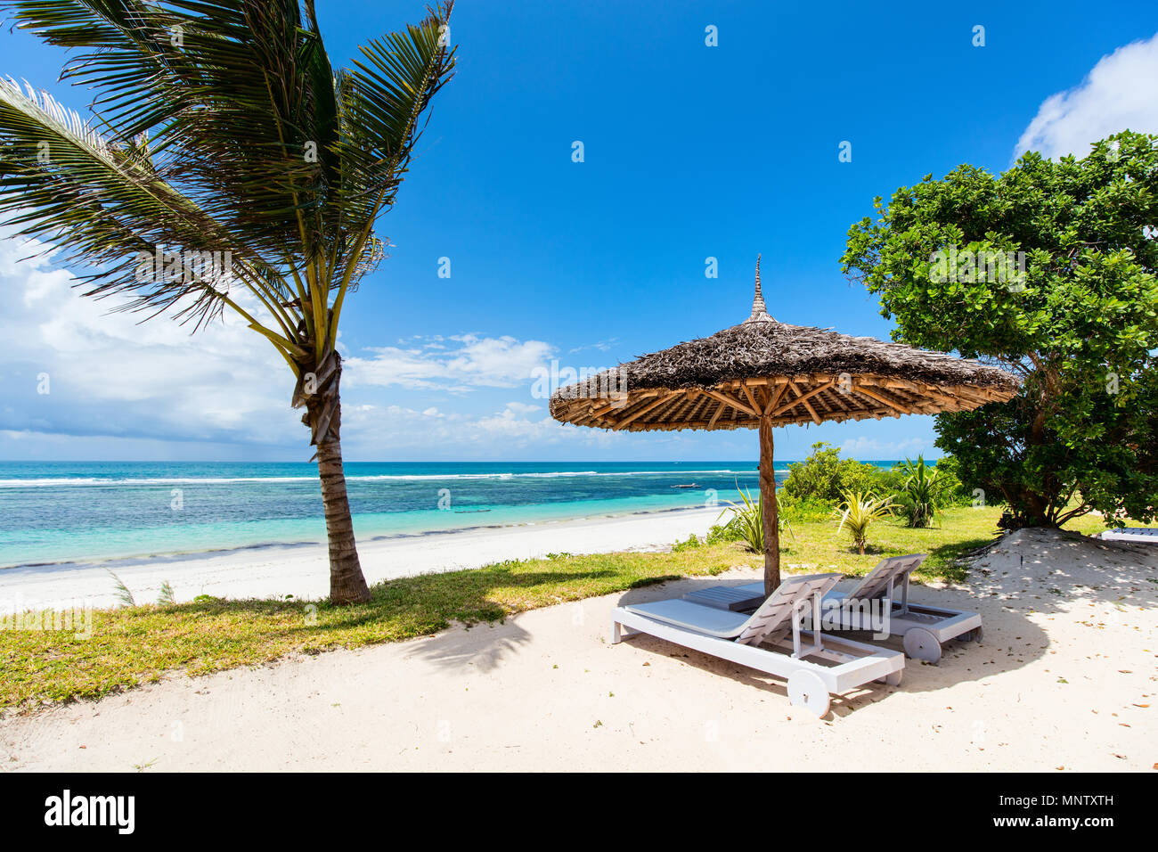 Lit de plage au milieu des palmiers à la côte tropical parfait Banque D'Images