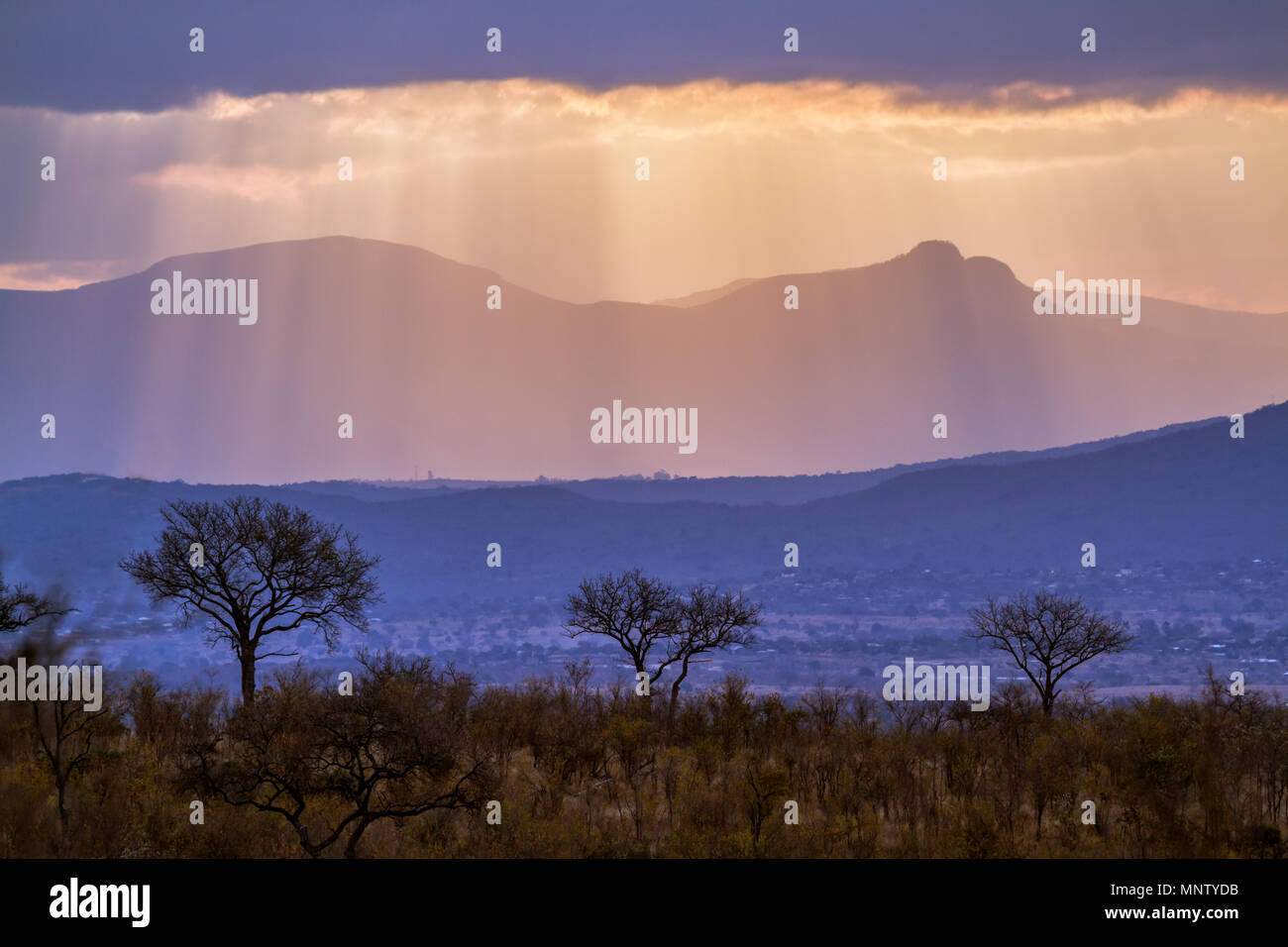 Vue sur la montagne de Pretoriuskop salon en Kruger National Park, Afrique du Sud Banque D'Images