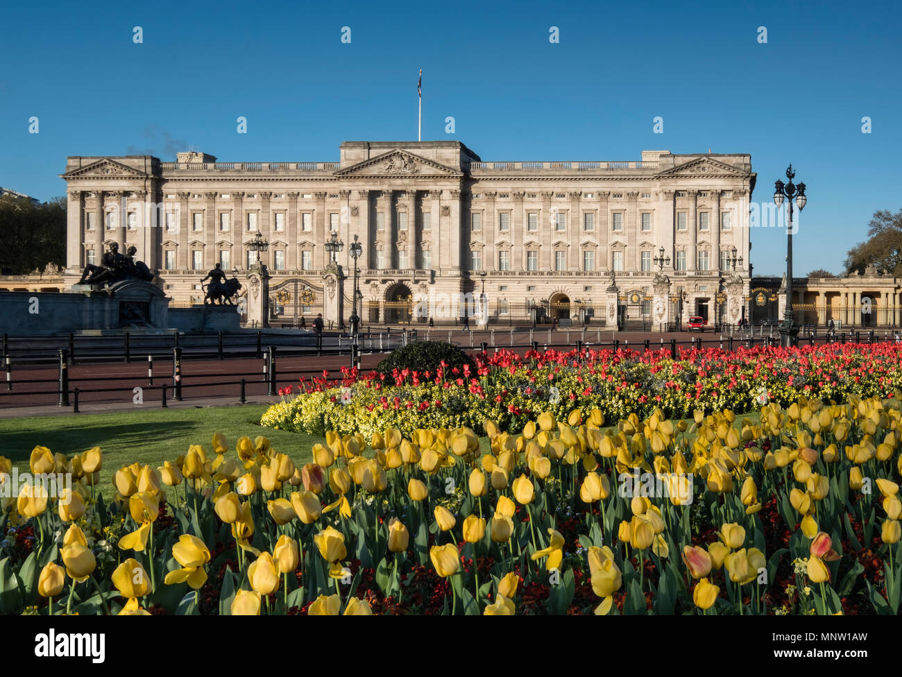 Buckingham Palace au printemps, London, England, UK Banque D'Images