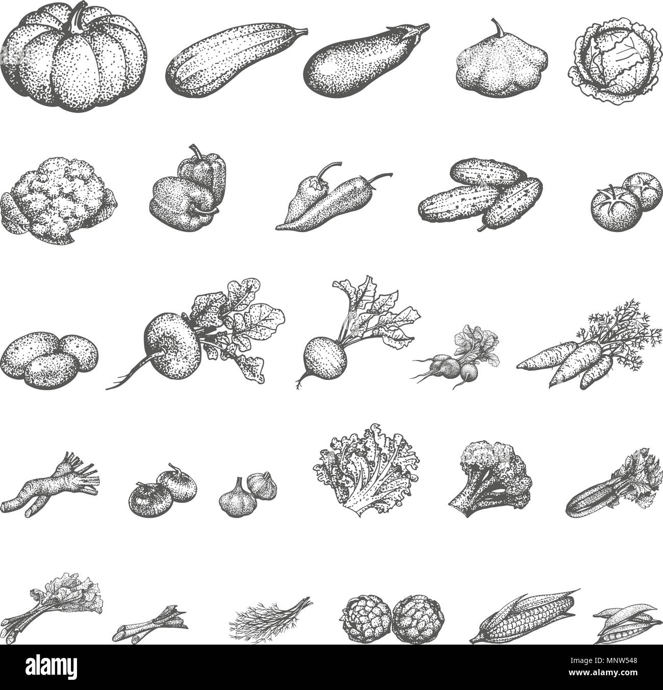 Jeu de croquis d'illustration vectorielle de légumes Illustration de Vecteur