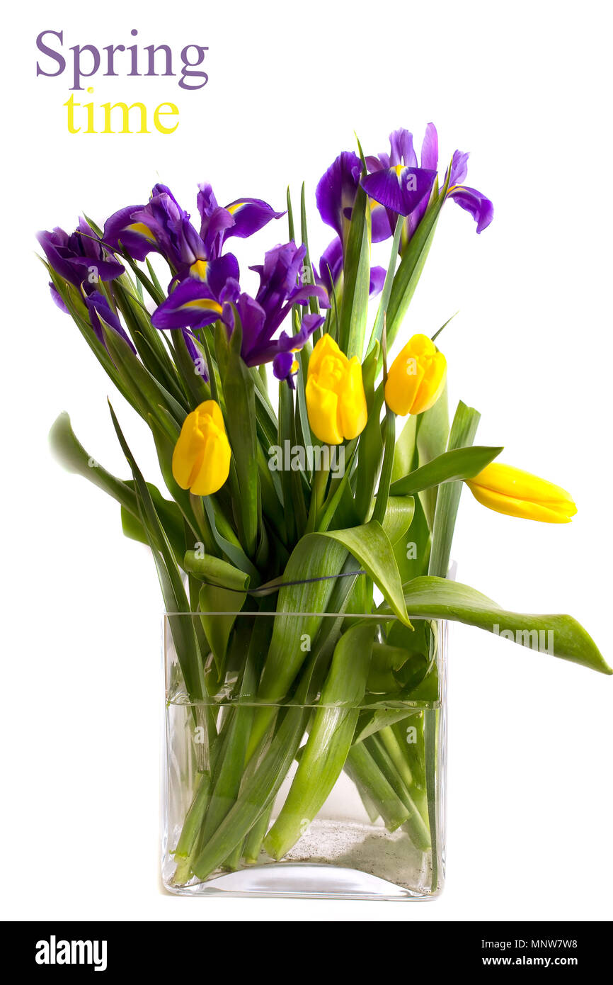 Bouquet de fleurs de printemps - les tulipes et les iris dans un grand vase carré Banque D'Images