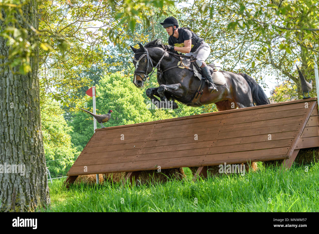 Corby, Royaume-Uni. 19 mai 2018. Le cheval Equateur III et le cavalier Thomas Maritn leap une clôture dans le cross-country au cours de l'événement international horse trials dans le parc de château de Rockingham, Corby, l'Angleterre le 19 mai 2018. Crédit : Michael Foley/Alamy Live News Banque D'Images