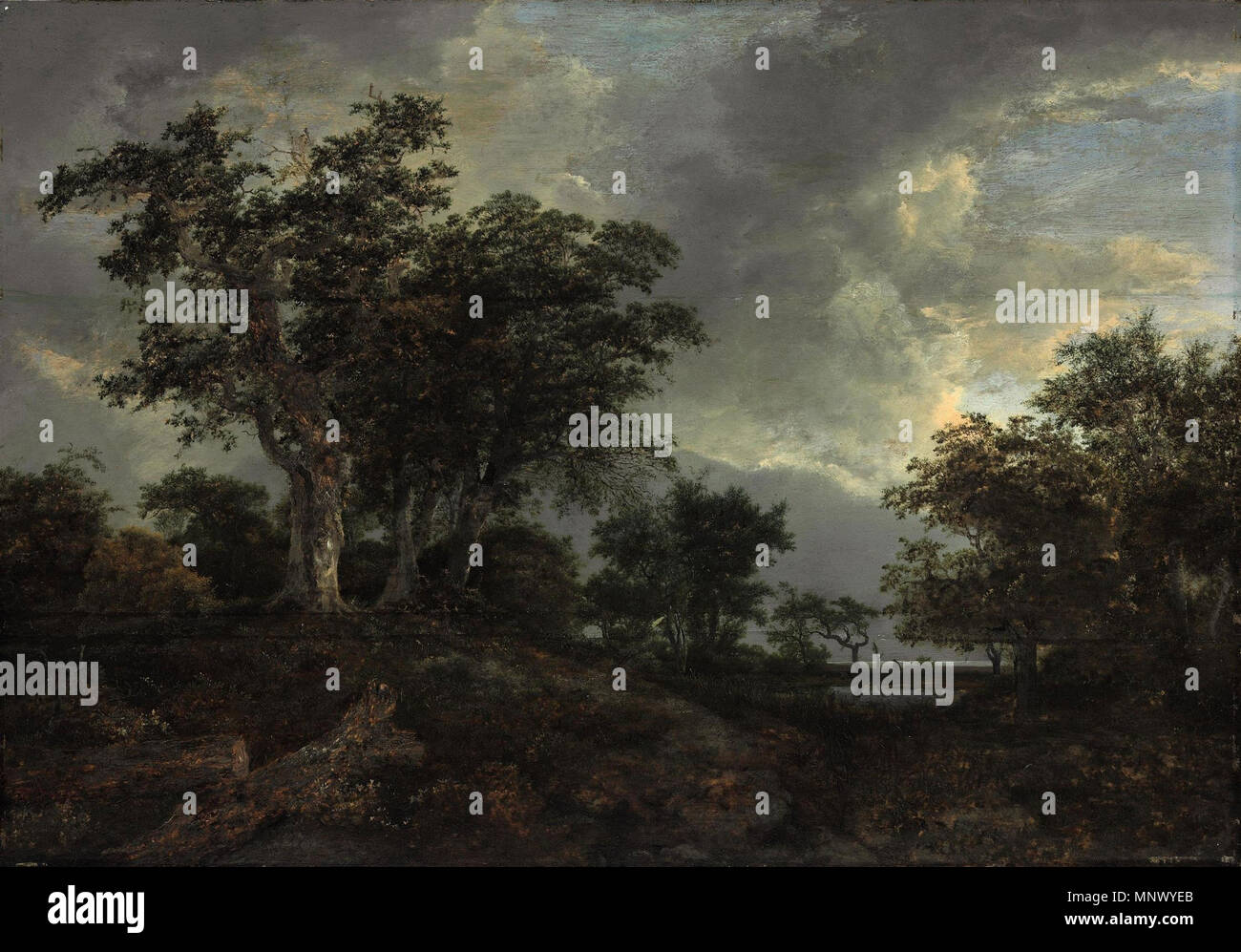 Un paysage boisé avec un étang 1650. 1078 Jacob van Ruisdael - un paysage boisé avec un étang Banque D'Images