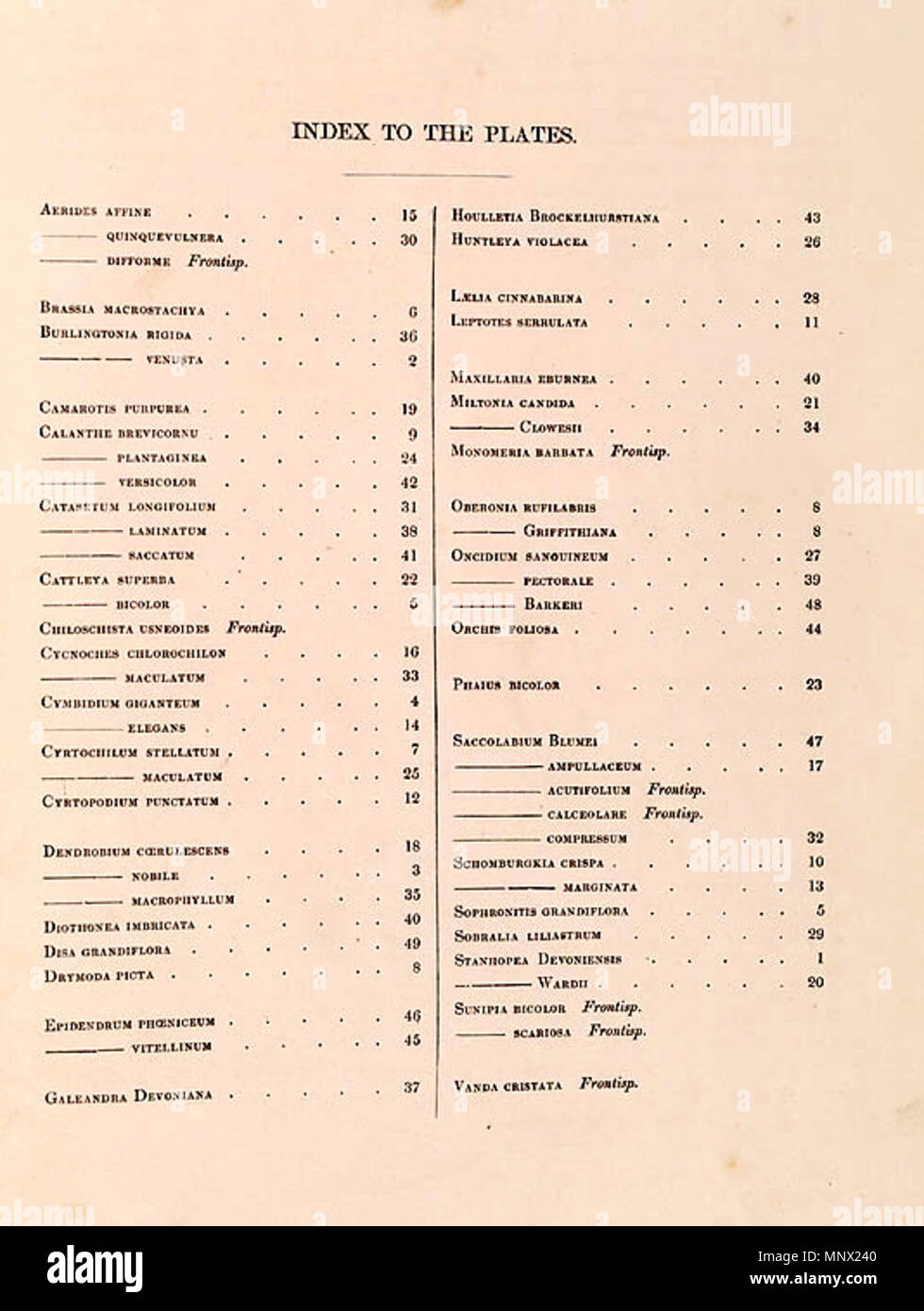 . Index pour les plaques . 1838. John Lindley (1799-1865) Noms alternatifs Lindl. Description botaniste, pteridologist, bryologue, professeur d'université, écrivain et mycologue Date de naissance/Décès 8 Février 1799 1 novembre 1865 Lieu de naissance/décès Catton, près de catégorie:Norwich Turnham Green, Middlesex contrôle d'autorité : Q378629 : VIAF 44413344 ISNI : 0000 0000 8377 7990 RCAC : n84018057 NLA : 35306726 : Botaniste Lindl. 1112 Sertum WorldCat - Lindley - index Banque D'Images