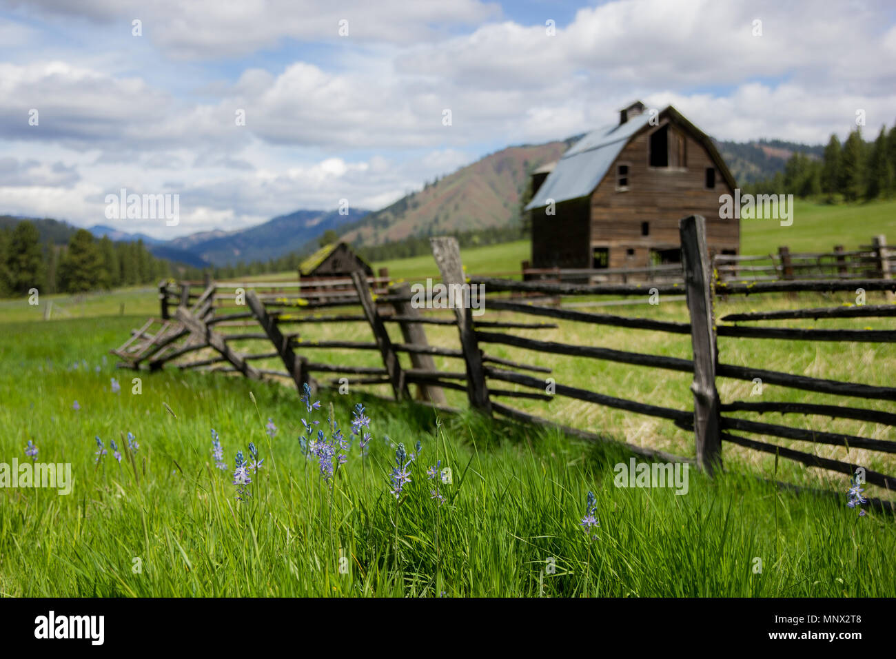 Lauderdale Junction, Washington / USA - Mai 9, 2018 : homestead abandonné entre Ellensburg et Leavenworth dans Kittitas Comté de Washington. Banque D'Images