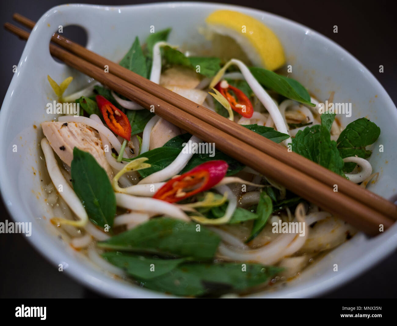 Belle et appétissante photo d'une soupe poulet et nouilles traditionnelles vietnamiennes, également appelé pho ga dans un bol blanc avec fond de bois et luxuri Banque D'Images