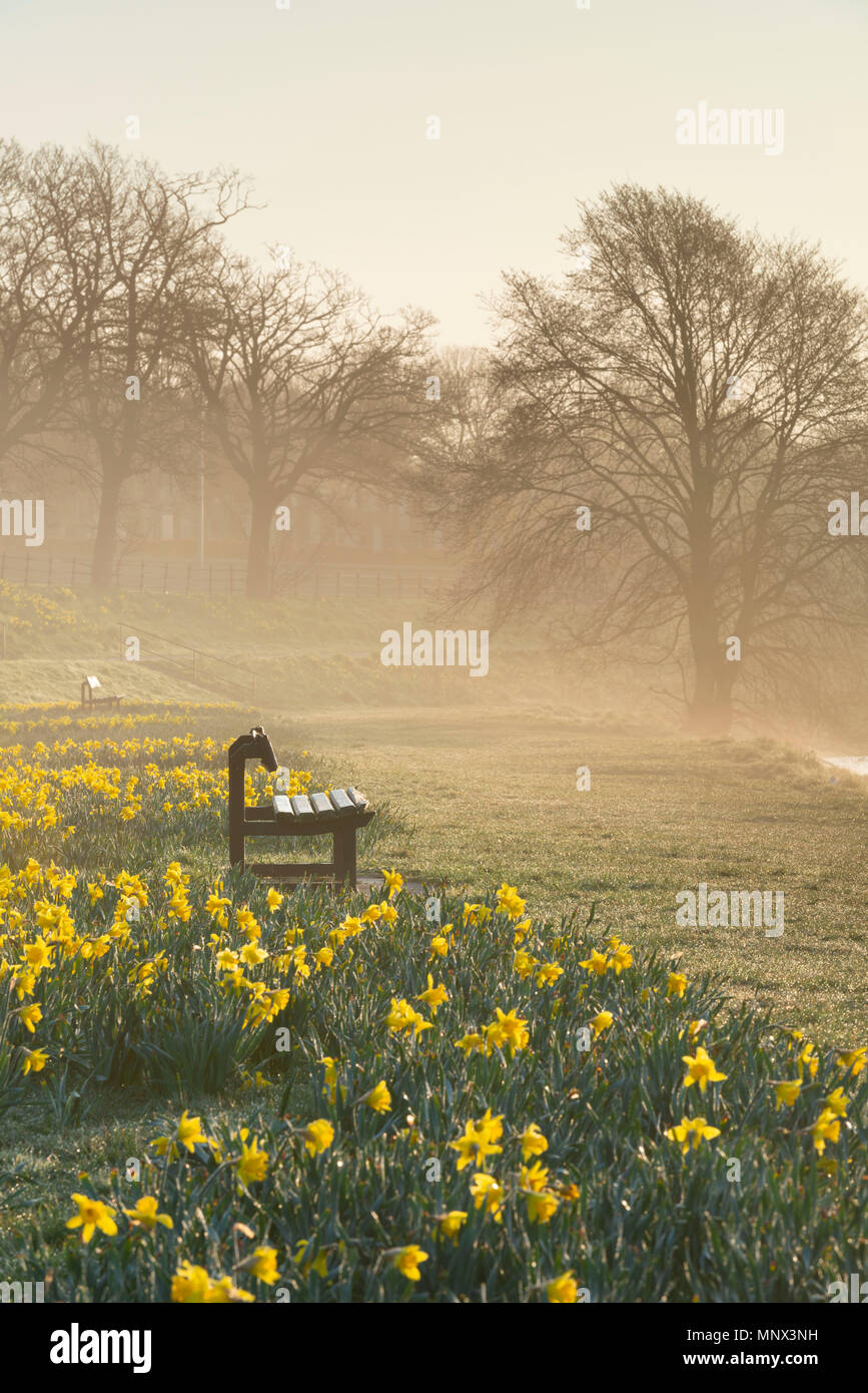 Sur les bancs de la rivière à Aberdeen, en Écosse, sont dans la brume sur un matin de printemps ensoleillé. Banque D'Images
