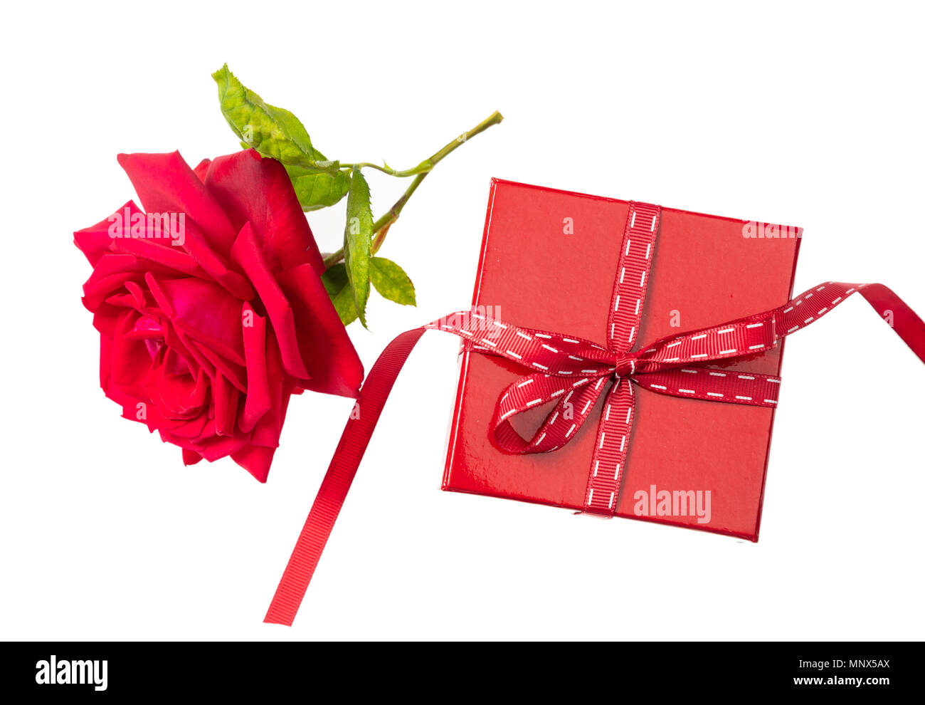 Valentines Day Rose Fleur Rouge Avec Des Feuilles Vertes Et