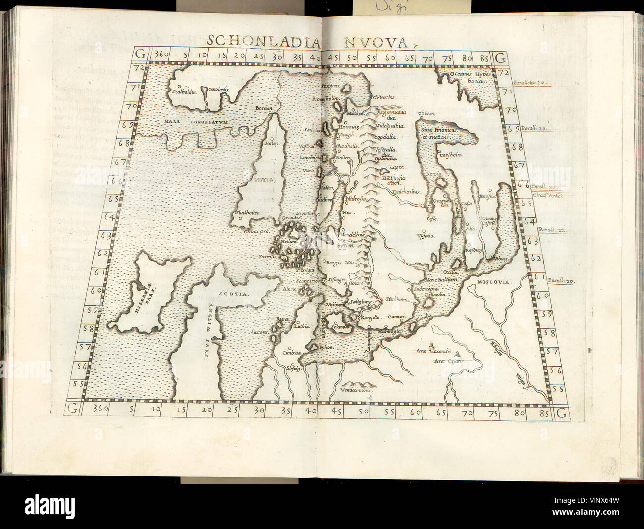 . Latina : Schonladia Nuova. Daniae, Scholandiae Norvegiae Sueciae,,, et Filandiae Sextadecima Additarum La Tabula, ex, Geographia cl. Ptolemaei Alexandrini Anglais : La nouvelle carte du Danemark, "les belles terres", la Suède, la Norvège et la Finlande . 1564. Ptolémée 1105 Schonladia nuova Banque D'Images